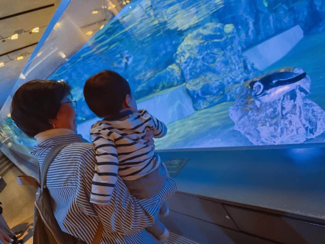 片岡安祐美のインスタグラム：「🐧  ばぁばと水族館🐠🐡🦭🐟 いつも全力で息子と遊んでくれます♪ 息子もばぁばの顔見た瞬間に大笑顔😆✨  #すみだ水族館  #年パス  #いつもありがとうございます  #ばぁば  #感謝」