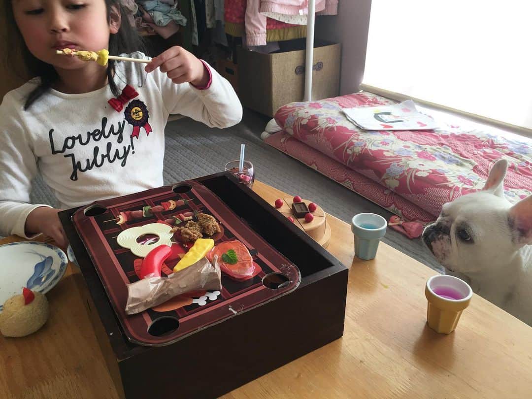 ちえぶぅたのインスタグラム：「黄砂で散歩できなくて、妹のままごとに付き合わされ、やってられんちゃん。」