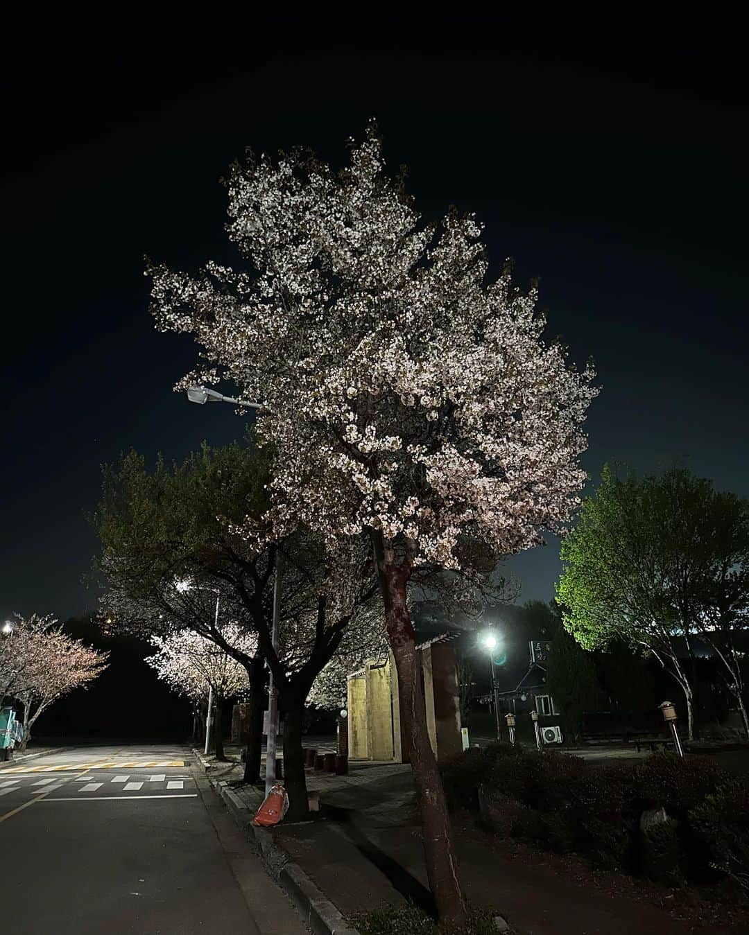 キム・ソンチョルさんのインスタグラム写真 - (キム・ソンチョルInstagram)4月13日 16時25分 - sungcheol2