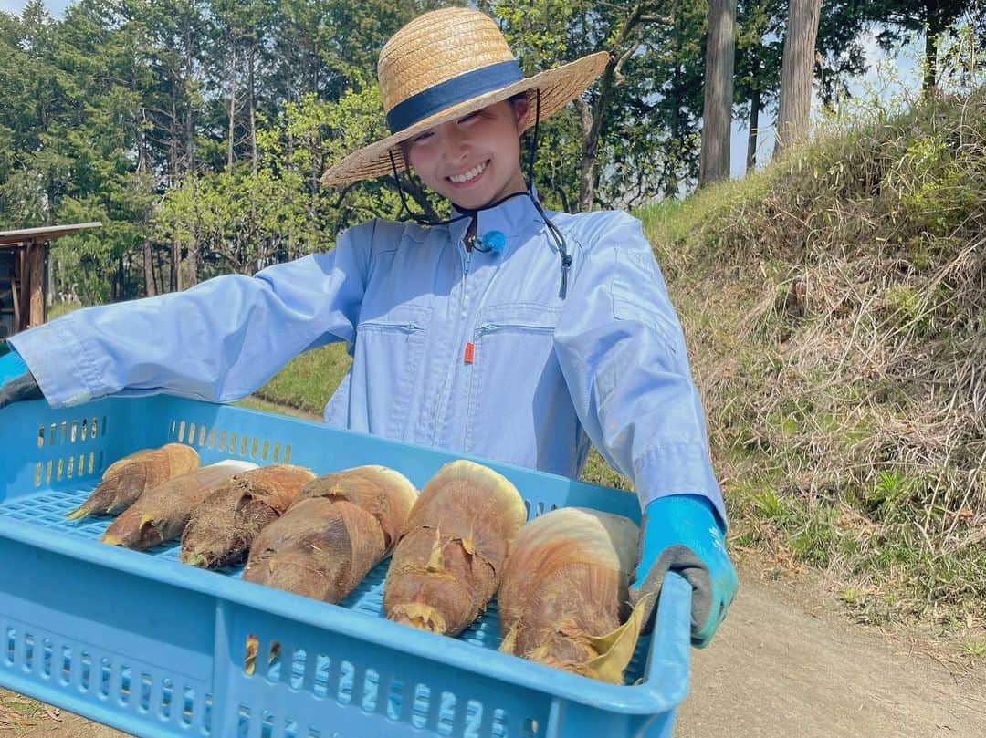 佐藤佳奈さんのインスタグラム写真 - (佐藤佳奈Instagram)「京都府井手町の『みどり農園』さんに人生初のタケノコ掘りに行ってきました🎋  タケノコご飯と、いちごもご馳走になったのですが、本当に本当においしかった…🥺🍓  またプライベートでも絶対に来ようと思いました✨  取材ご協力いただきありがとうございました！！  #すまたん #すまたんzip  #タケノコ掘り #いちご狩り #みどり農園」4月13日 7時50分 - kana_sato_sakana