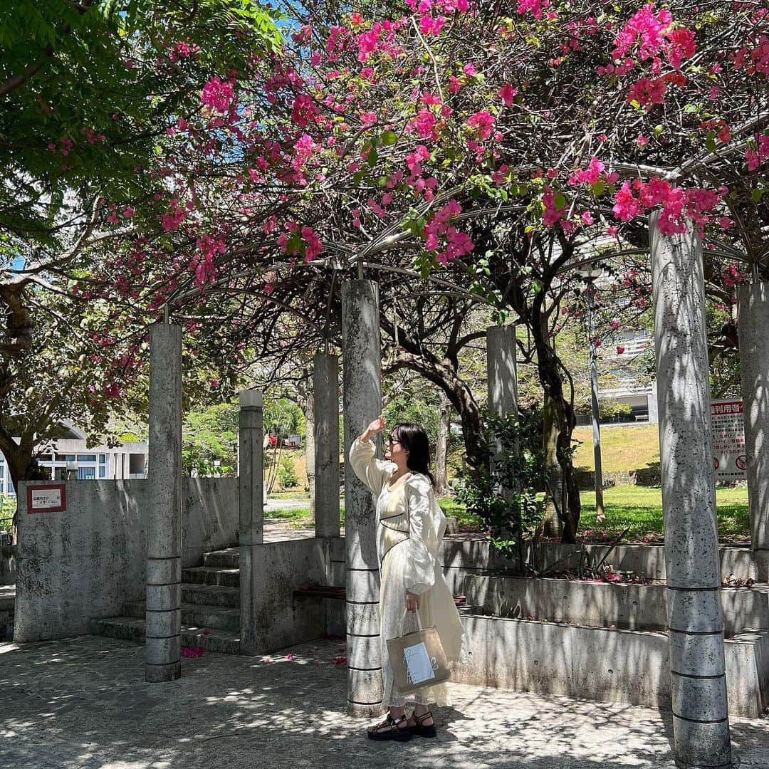 松尾幸実さんのインスタグラム写真 - (松尾幸実Instagram)「沖縄メモ  楚辺そば 蔵人 OIST大学」4月13日 8時33分 - yukimi.m_official