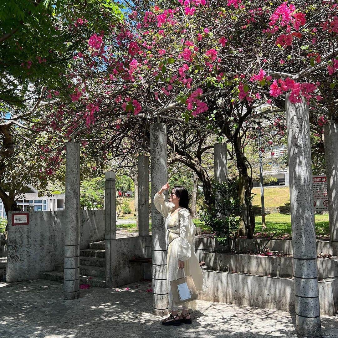 松尾幸実のインスタグラム：「沖縄メモ  楚辺そば 蔵人 OIST大学」