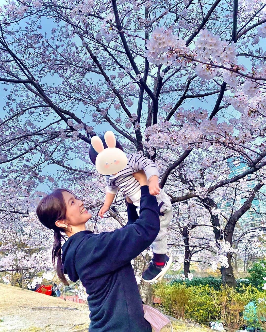 福田典子さんのインスタグラム写真 - (福田典子Instagram)「桜の時期って本当に一瞬だなぁと毎年思います。その一瞬を逃さずに、「今だ！」と思い立って出かけられると、もう、それだけで楽しくて嬉しくて。  ただ、我が子はもう約12kg🌸去年の写真と比べて見ても、肩より上の高さに持ち上げるのはなかなか大変。笑  さすがにじっとお花見ポイントにいるわけにもいかないのですが、「土を踏み締めるのって気持ちいいよね。」とか、「芽の生えたどんぐりを見つけたの？」とか、これまでとはちょっと違ったお花見(？)を楽しめました🌸  さて、 今日はひるパ！のナレーションをとってきます。毎週土曜日午前11時3分からなので、ぜひお耳もお借りしながら、ご覧いただければ嬉しいです。  今日も一日がんばりましょう🥰  #レタッチ難しい」4月13日 9時02分 - norikofukuda212