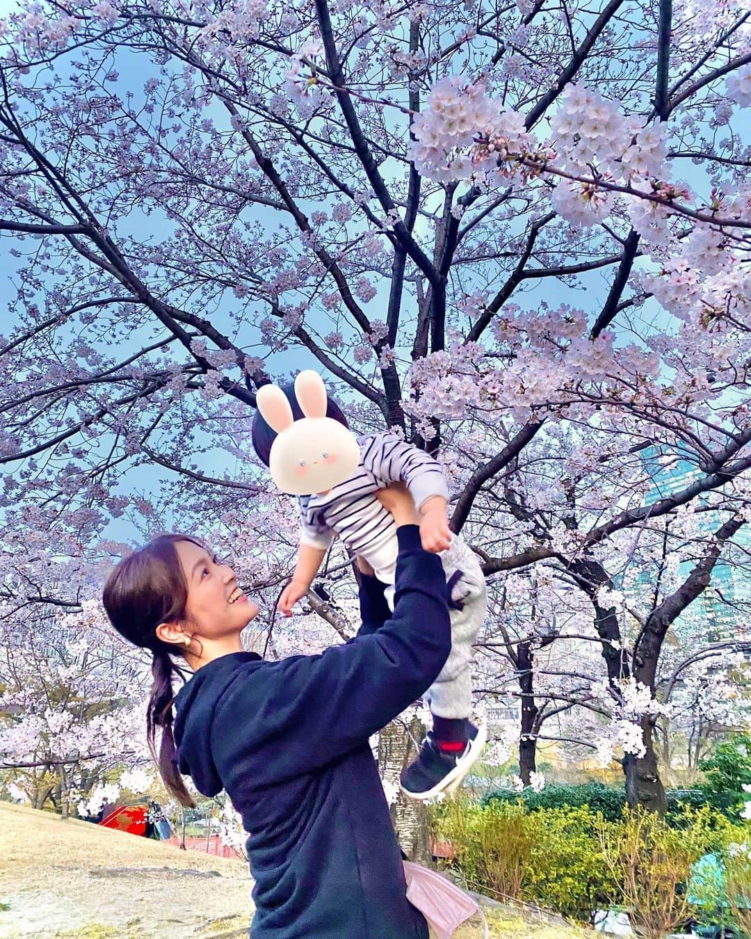のインスタグラム：「桜の時期って本当に一瞬だなぁと毎年思います。その一瞬を逃さずに、「今だ！」と思い立って出かけられると、もう、それだけで楽しくて嬉しくて。  ただ、我が子はもう約12kg🌸去年の写真と比べて見ても、肩より上の高さに持ち上げるのはなかなか大変。笑  さすがにじっとお花見ポイントにいるわけにもいかないのですが、「土を踏み締めるのって気持ちいいよね。」とか、「芽の生えたどんぐりを見つけたの？」とか、これまでとはちょっと違ったお花見(？)を楽しめました🌸  さて、 今日はひるパ！のナレーションをとってきます。毎週土曜日午前11時3分からなので、ぜひお耳もお借りしながら、ご覧いただければ嬉しいです。  今日も一日がんばりましょう🥰  #レタッチ難しい」