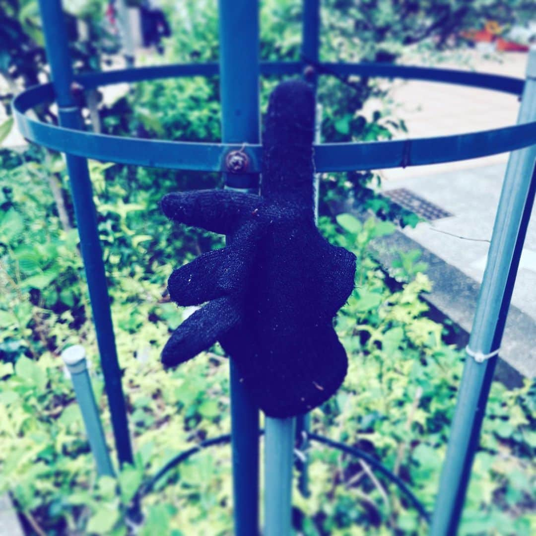 中野敬久さんのインスタグラム写真 - (中野敬久Instagram)「#lost #glove #black #outrage #tokyo」4月13日 9時22分 - hirohisanakano