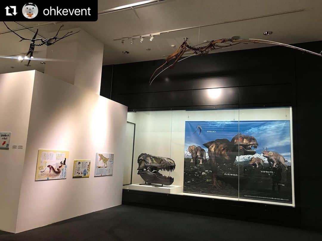 のインスタグラム：「#Repost @ohkevent with @use.repost ・・・ . わけあって絶滅しました。展 岡山会場  🦕🦖🦕🦖🦕🦖🦕🦖 会場内には 貴重な化石や標本が大集合！！ 🦖🦕🦖🦕🦖🦕🦖🦕  🎪会場内はすべて写真📷OK！  撮った写真に  #わけ絶   をつけてSNSに投稿 しよう🙌  #岡山シティミュージアム #恐竜 #ティラノサウルス #トリケラトプス #骨格標本 #化石」