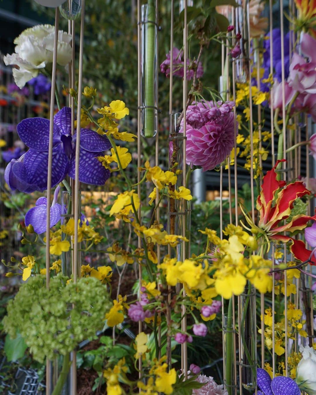 廣瀬なつきさんのインスタグラム写真 - (廣瀬なつきInstagram)「⁡ 環境に配慮し、SDGsへの取り組みがなされた作品を観に、4/23まで、開催中のYaesu Flower Greetingにお伺いしてきました！ ⁡ 東京ミッドタウン八重洲のロゴをモチーフに象った作品が素敵でした！暖かくなっていくこの季節に、カラフルなお花たちに心が温まりました！ ⁡ @tokyomidtownyaesu  #東京ミッドタウン八重洲  #tokyomidtownyaesu  #yaesuflowergreeting」4月13日 10時46分 - i_am_na2coooo