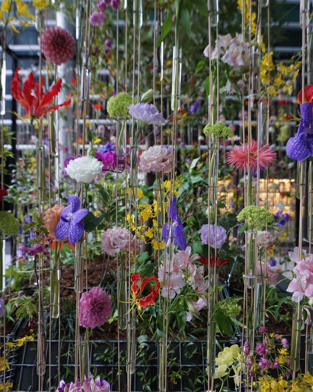 廣瀬なつきさんのインスタグラム写真 - (廣瀬なつきInstagram)「⁡ 環境に配慮し、SDGsへの取り組みがなされた作品を観に、4/23まで、開催中のYaesu Flower Greetingにお伺いしてきました！ ⁡ 東京ミッドタウン八重洲のロゴをモチーフに象った作品が素敵でした！暖かくなっていくこの季節に、カラフルなお花たちに心が温まりました！ ⁡ @tokyomidtownyaesu  #東京ミッドタウン八重洲  #tokyomidtownyaesu  #yaesuflowergreeting」4月13日 10時46分 - i_am_na2coooo