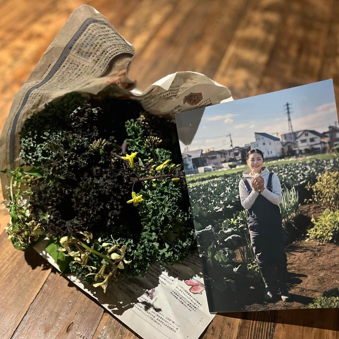 クリス智子さんのインスタグラム写真 - (クリス智子Instagram)「昨日、加藤紀子さんに、花束みたいに頂いた、ご自身の畑で育ったケールとルッコラ！ （即座に「食べられる花束ってステキ！」と口をついて出た(๑˃̵ᴗ˂̵)  @katonoriko   この"宝束"を抱えながらの帰りしな、んーーケールで何しよ？と右斜め上を見ながら、結局、シンプルに、サラダと、もう一つは、ベーコンと炒め。にがうまッ🙌ごちそうさまでした。...私も筍を持って行けばよかった..！  加藤紀子さん、素敵な人。（宝束をくれたからではないよ、笑）　 遠くからご活躍を知る昔から、自分の言葉で表現することを大事にしてきた人だと、このデビュー30周年で作られたZINEを読んで、あらためて思ったのでした。  ついでに、好きなもの似ているような気もして、ニヤニヤ😄  畑も10年以上..大尊敬！ やる気束も、いただきました！  @@@  👂radikoで来週火曜まで聴けます〜  #加藤紀子 #jwave #goodneighbors  #ケール #宝束」4月13日 10時47分 - chris_tomoko