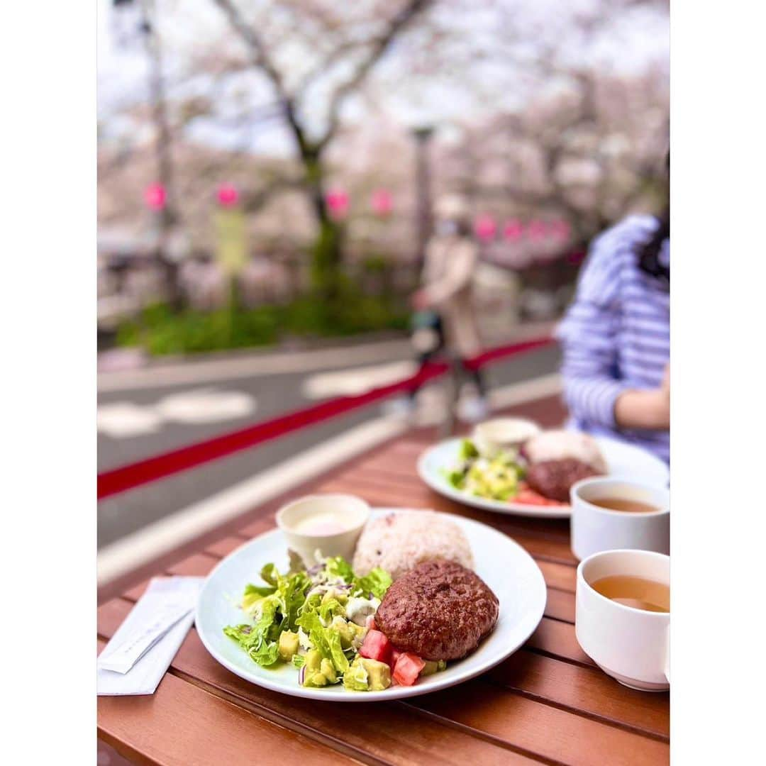 中津悠希さんのインスタグラム写真 - (中津悠希Instagram)「今年も惠ちゃんとお花見できた🌸🍡💕今回は可愛い可愛いエルちゃまも一緒にお散歩🐶やっぱり桜は儚くて綺麗☺️🌸#桜 #お花見 #わんこ #姫 #お散歩 #春 #ランチ #cherryblossom #spring #lunch #terrace」4月13日 11時13分 - yukinakatsu