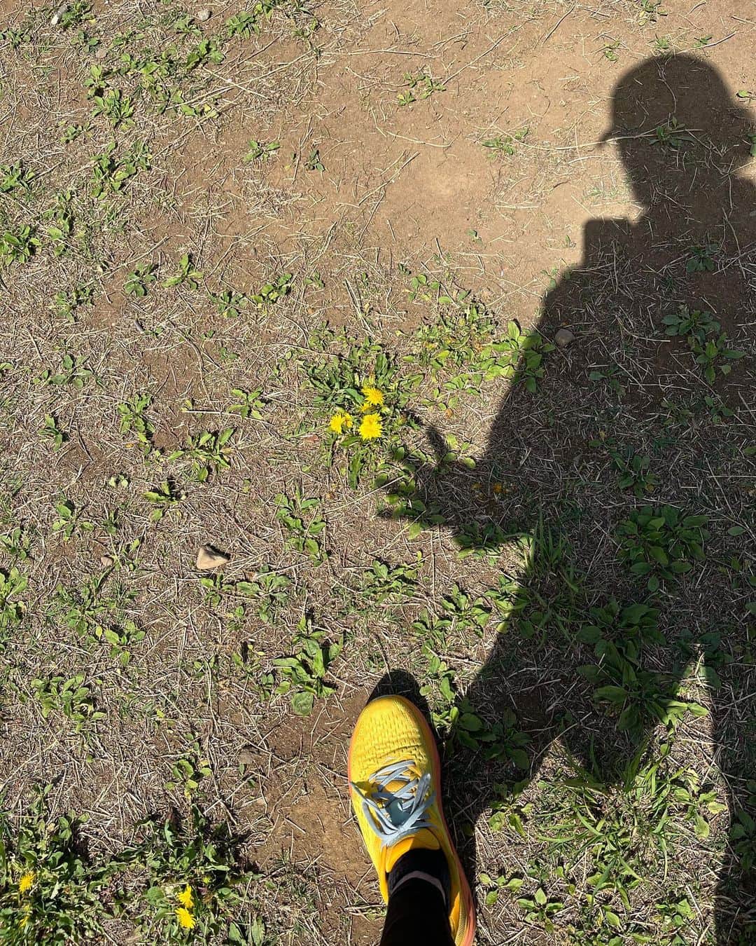 宙也さんのインスタグラム写真 - (宙也Instagram)「Morning yellow」4月13日 11時16分 - chuya_aquarius