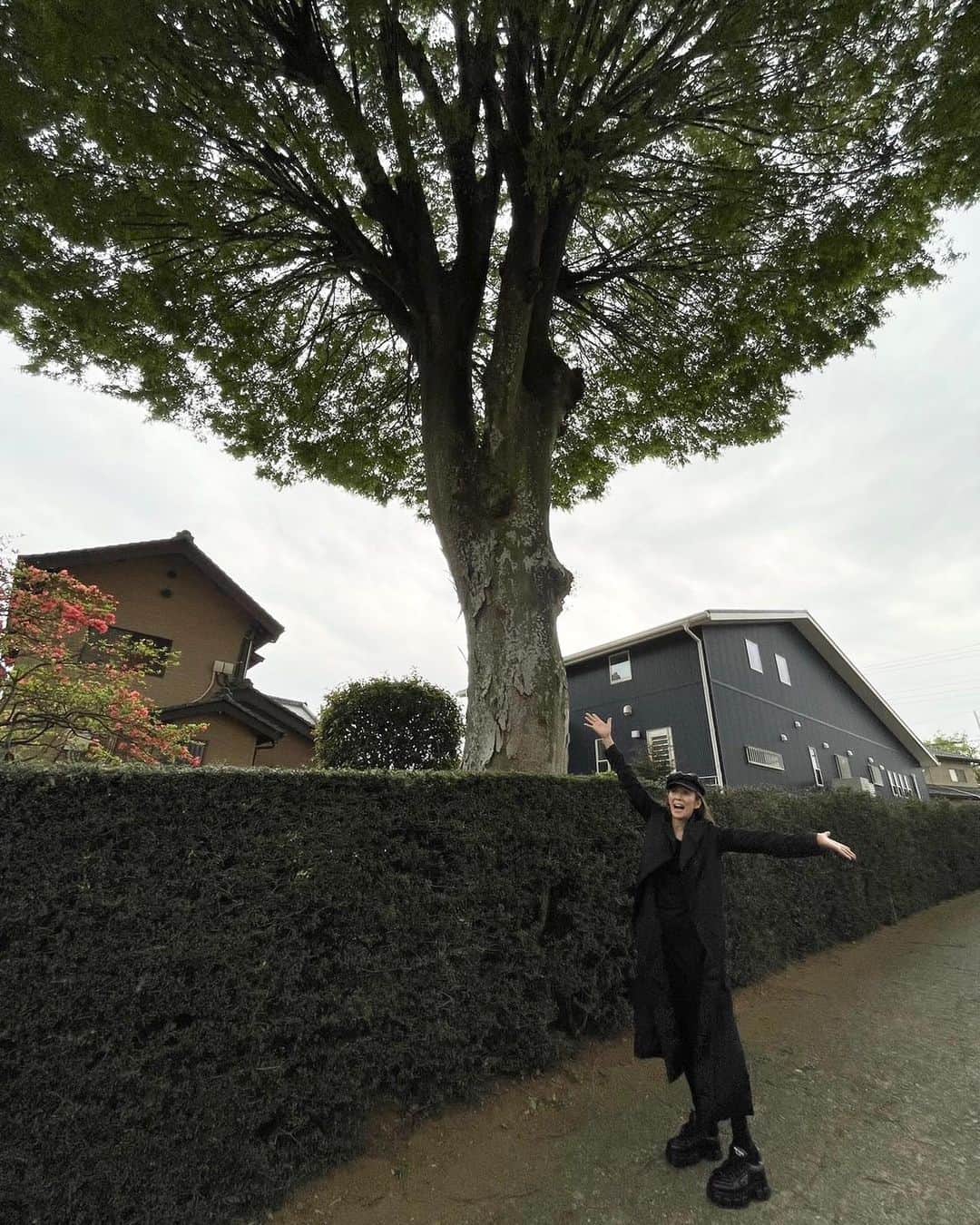 萬田久子さんのインスタグラム写真 - (萬田久子Instagram)「この〜樹♪ナンの木♪ 気になる樹〜❣️  #すっぴん #萬田久子 #HISAKOMANDA」4月13日 11時31分 - hisako.manda_official