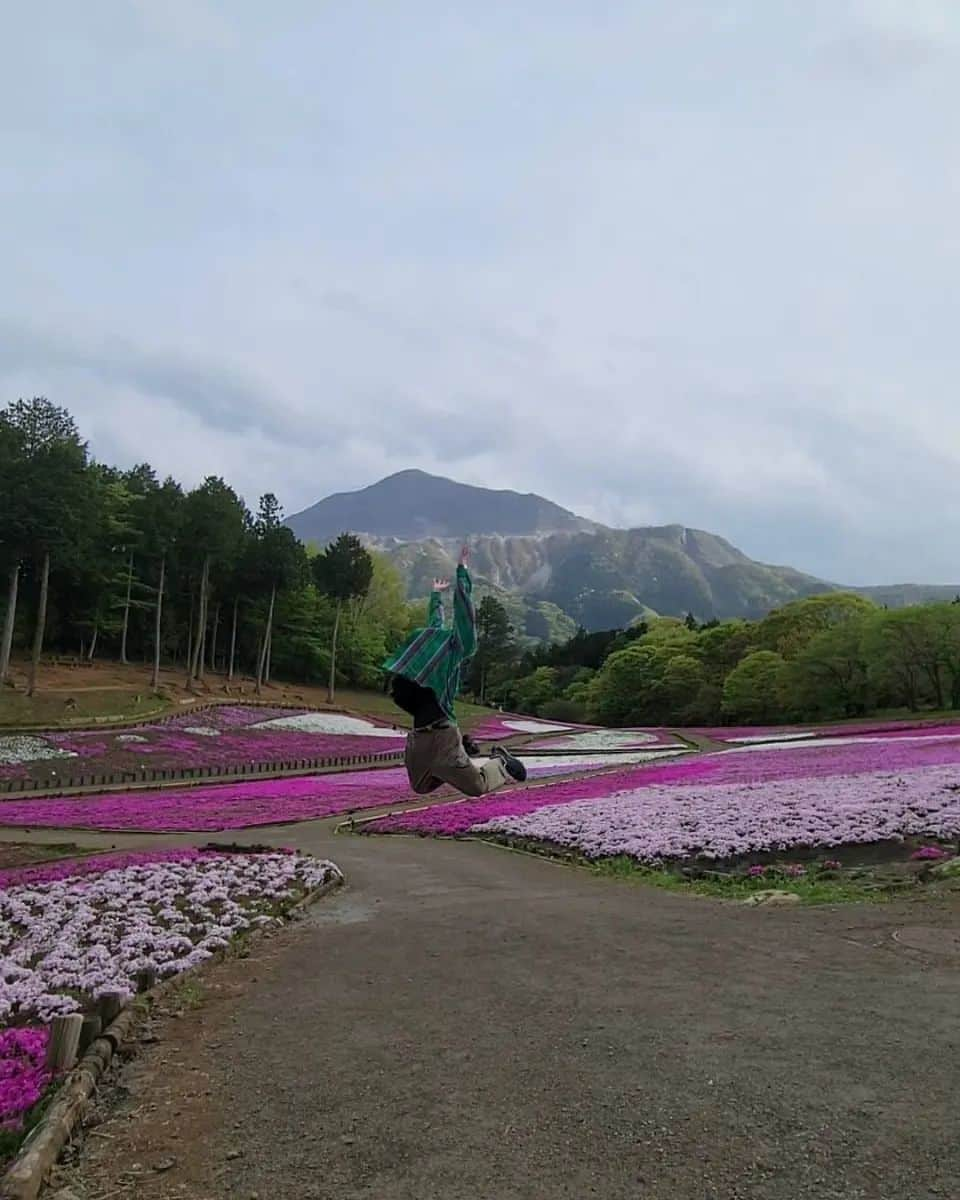 どんぐりたけしのインスタグラム：「🌸🌸🌸🌸🌸 #ふらっと954  #休暇村奥武蔵 #羊山公園  #羊山公園芝桜  #芝桜」