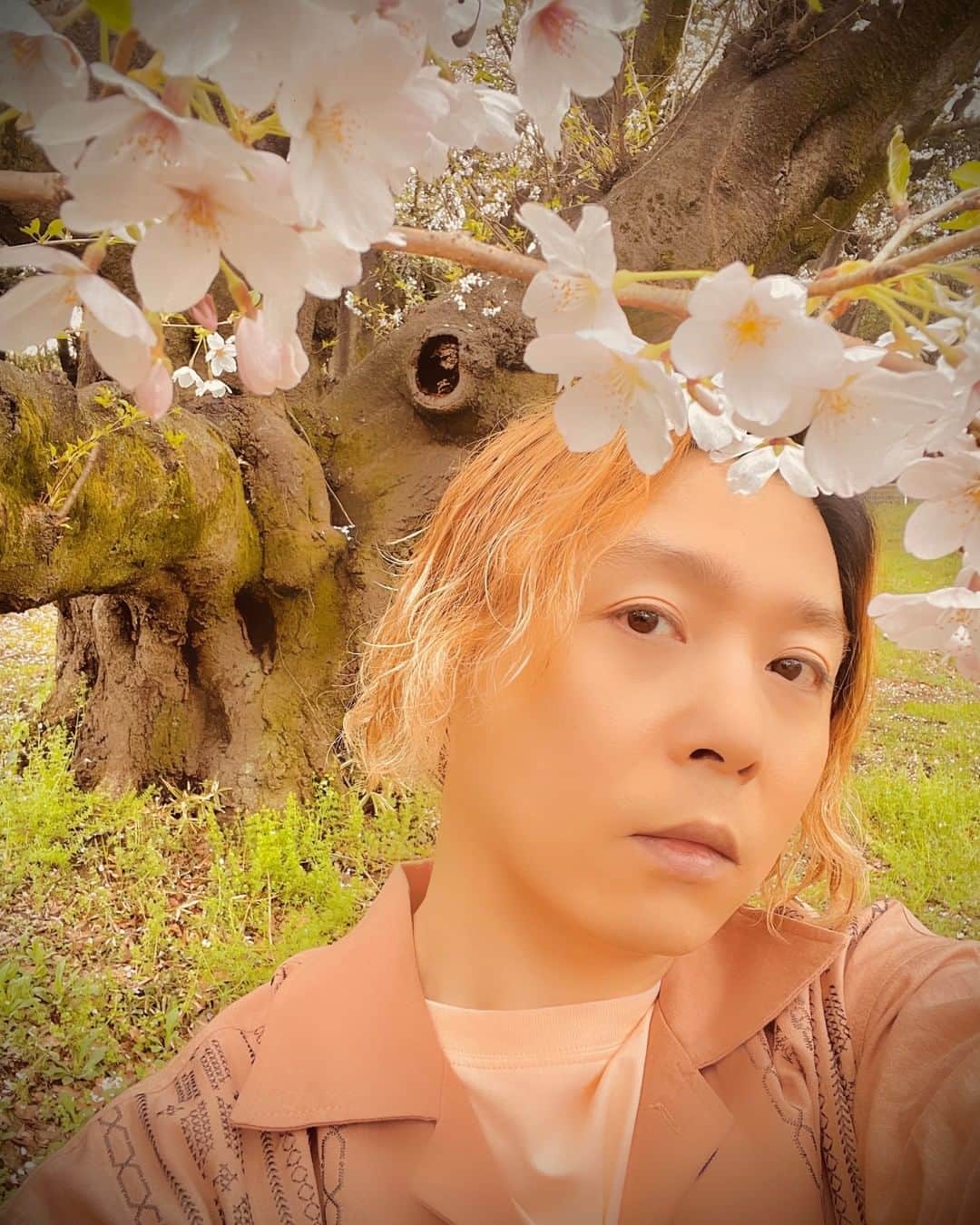 堂本剛さんのインスタグラム写真 - (堂本剛Instagram)「#ENDRECHERI」4月13日 12時00分 - tsuyoshi.d.endrecheri.24h.funk