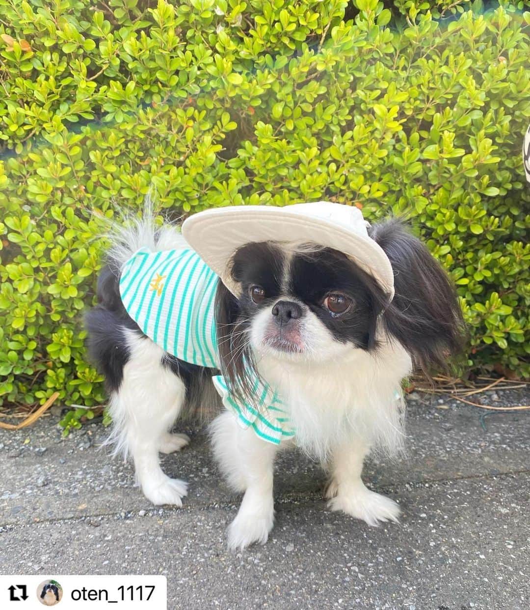 Caluluさんのインスタグラム写真 - (CaluluInstagram)「ROPE PICNICのショルダーフリルリブカットソー着て頂き ...