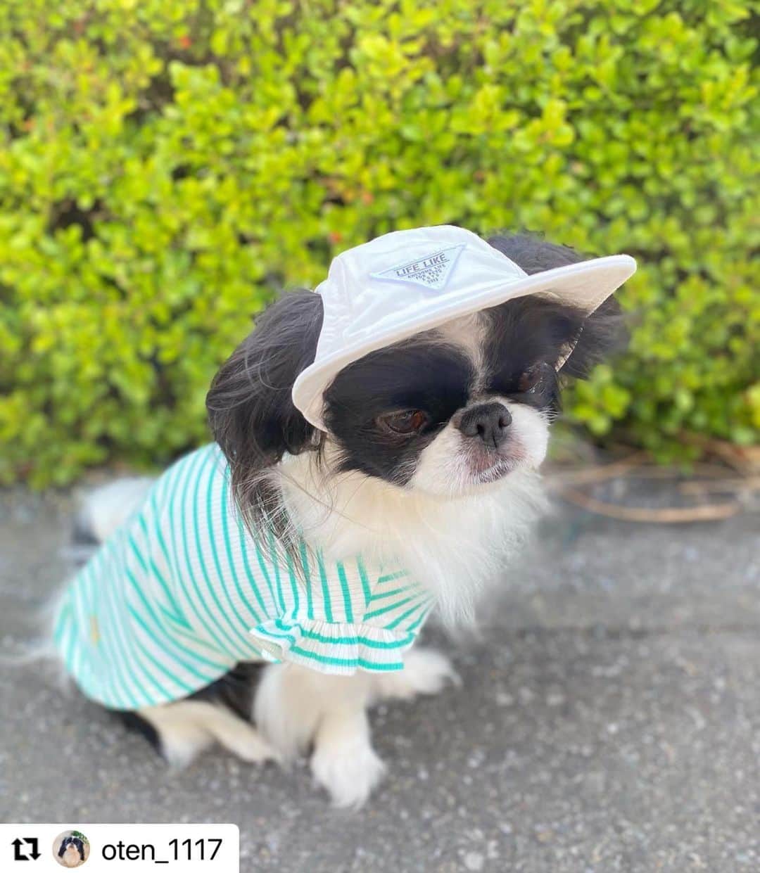 Caluluさんのインスタグラム写真 - (CaluluInstagram)「ROPE PICNICのショルダーフリルリブカットソー着て頂き ...