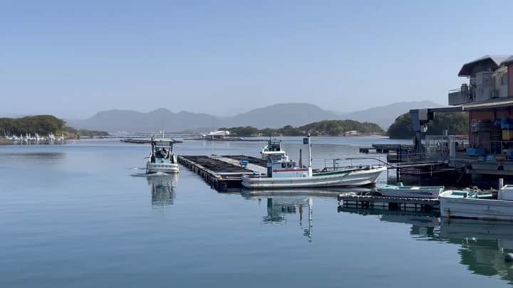 近畿大学総務部広報室のインスタグラム：「#shirahama #kindaiuniversity #aquacultureresearchinstitute @kindai_suiken  #近畿大学 #水産研究所　 #白浜実験場 #白浜  #黄砂 でちょっと曇って見えます」