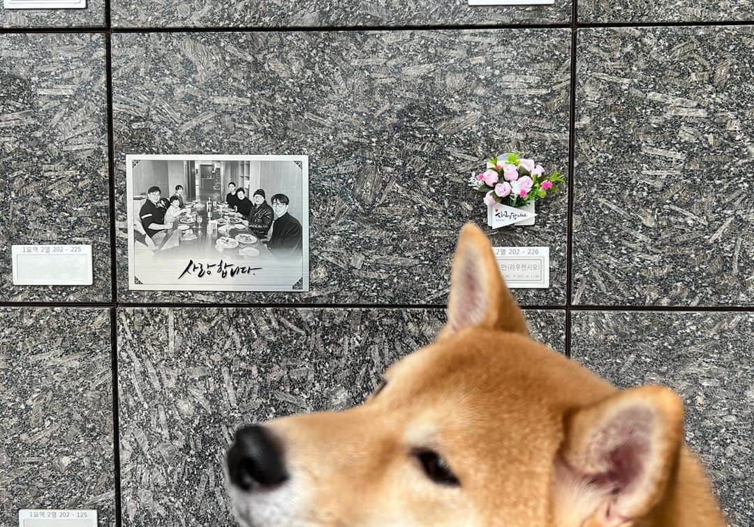ユン・ヒョンミンのインスタグラム：「보고싶은 아빠.  1년이 지났네요. 오늘 방송도 잘 봐요 아빠 💐」