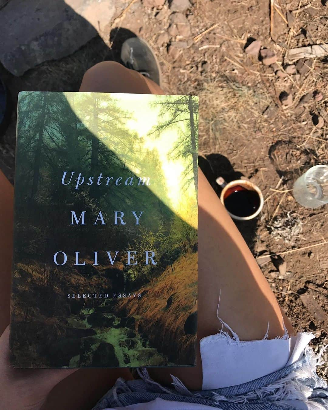 ソフィア・ブッシュさんのインスタグラム写真 - (ソフィア・ブッシュInstagram)「Happy #PoetryMonth, dear ones. As a deep admirer and lover of #MaryOliver, I am so honored and so thrilled, to share — this month of all months!! — the new, original audiobook WILD AND PRECIOUS, narrated by yours truly (swipe to slide 3 for a little preview) 🤍  It's an audio celebration of our beloved Mary, featuring selections from her work, and a tapestry of voices reflecting on her legacy. I am still pinching myself that I was asked to give voice to this work. And let me tell you, each and every person interviewed for this project — some folks well known to you, some new friends, and some of Mary’s too! — made my heart swell. This is just so, so special.  I hope you love it as much as the team @pushkinpods and I loved making it for you. You can find #WildAndPrecious wherever you buy your audiobooks. Enjoy 🌱」4月13日 12時46分 - sophiabush