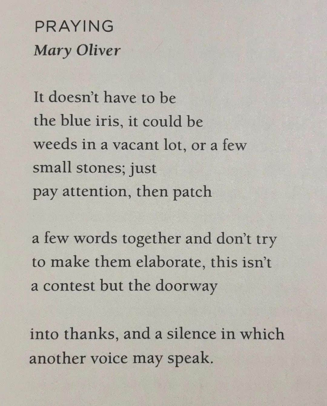 ソフィア・ブッシュさんのインスタグラム写真 - (ソフィア・ブッシュInstagram)「Happy #PoetryMonth, dear ones. As a deep admirer and lover of #MaryOliver, I am so honored and so thrilled, to share — this month of all months!! — the new, original audiobook WILD AND PRECIOUS, narrated by yours truly (swipe to slide 3 for a little preview) 🤍  It's an audio celebration of our beloved Mary, featuring selections from her work, and a tapestry of voices reflecting on her legacy. I am still pinching myself that I was asked to give voice to this work. And let me tell you, each and every person interviewed for this project — some folks well known to you, some new friends, and some of Mary’s too! — made my heart swell. This is just so, so special.  I hope you love it as much as the team @pushkinpods and I loved making it for you. You can find #WildAndPrecious wherever you buy your audiobooks. Enjoy 🌱」4月13日 12時46分 - sophiabush