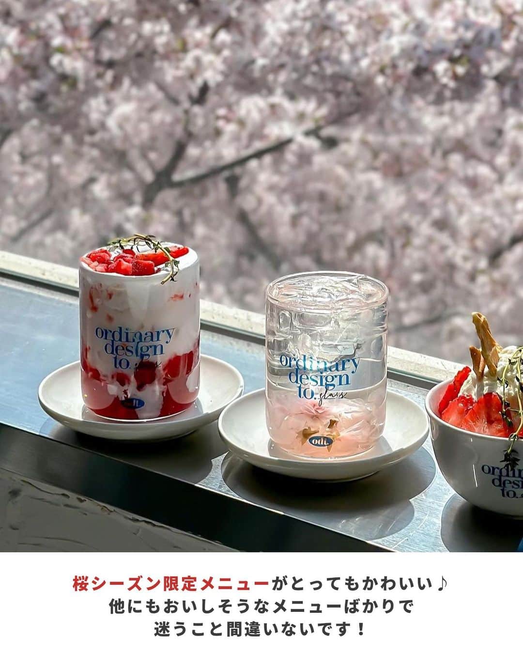 アシアナ航空日本地域公式アカウントさんのインスタグラム写真 - (アシアナ航空日本地域公式アカウントInstagram)「来年の春に絶対行きたい、桜の見えるカフェ🌸  ┈┈┈┈┈┈┈┈┈┈  窓から桜🌸が見える韓国カフェのご紹介です！  桜の季節限定のドリンクやスイーツが とってもかわいい✨  韓国旅行で是非 立ち寄ってみてはいかがでしょうか？  📍Odt._cafe 住所:ソウル マポ区永和楼 6番21 3階 営業時間：11：00～23：00 定休日：なし  📸Thanks @_hiistagram_   ┈┈┈┈┈┈┈┈┈┈   ✈️アシアナ航空日本地域公式アカウント 　　　　@asiana.jp_official  ・知っておきたい韓国旅行情報 ・韓国おすすめスポット ・韓国おすすめグルメ など発信していきます！  ぜひフォローしてください🇰🇷  ┈┈┈┈┈┈┈┈┈┈   #アシアナ航空 #韓国旅行 #韓国 #asiana　#韓国旅行記 #韓国旅行計画中 #韓国旅行情報 #韓国旅行🇰🇷 #韓国行きたい #韓国カフェ　#韓国カフェ巡り　#合井カフェ ＃odtcafe」4月13日 19時00分 - asiana.jp_official