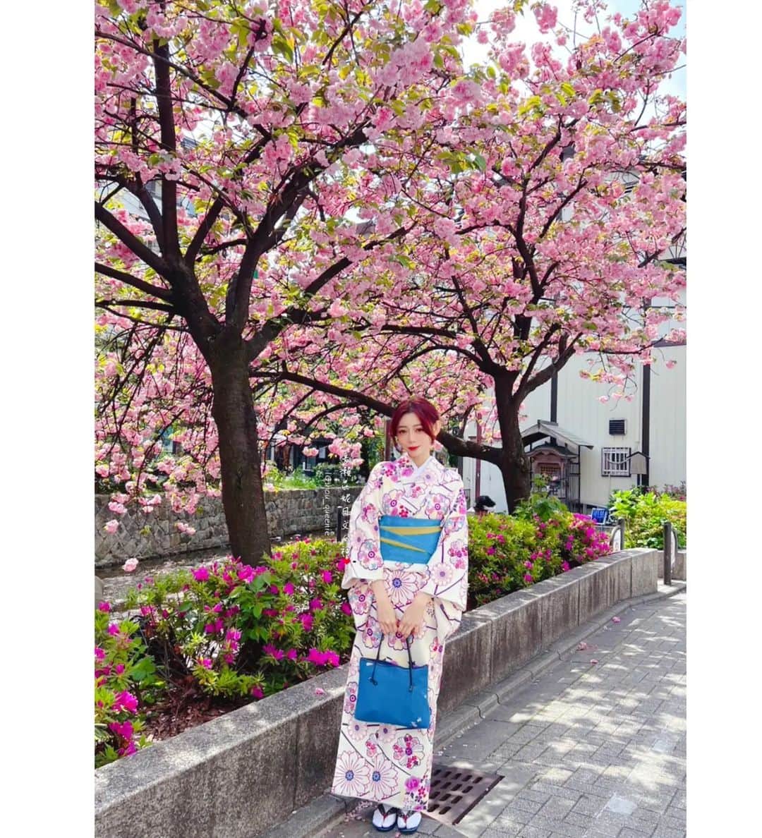 クィニーさんのインスタグラム写真 - (クィニーInstagram)「換上這和服，美的讓你臣服♥️♥️ 出賣美人媽媽 右滑🙈  二訪 露庵菊乃井/京都米其林二星 @kikunoi_honten @kikunoi_roan （菊乃井・露庵懷石料理必吃）  終於~忙到現在才有時間回日本家鄉一趟😍日本遊學即日起開始報名參加🇯🇵5月已額滿！！體驗日本在地生活，學習日語機會，暢遊日本各地，由定居日本10年以上的昆妮老師，帶您體驗日本新生活，報名請私訊👍  #長瀨昆妮日文女神 #櫻花季 #大阪  #大阪グルメ  #懷石料理  #京都  #清水寺  #心斎橋 #道頓堀  #和服  #和服コーデ  #着物  #浴衣  #日本遊學  #日本語能力試験  #日本旅行  #日本代購  #日語教學  #日語會話」4月13日 13時13分 - nagase_queenie