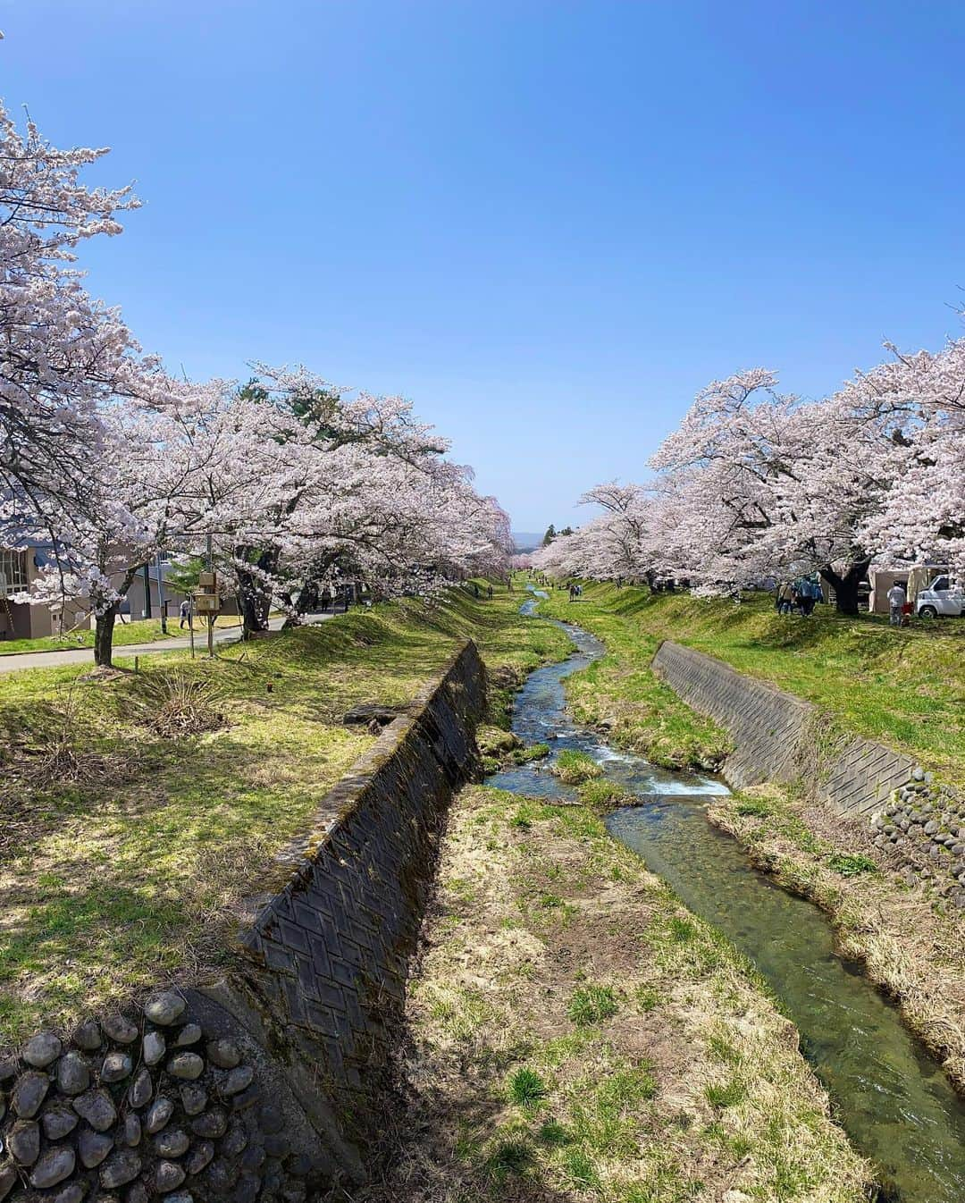 Rediscover Fukushimaさんのインスタグラム写真 - (Rediscover FukushimaInstagram)「Cherry blossoms in full bloom today at Kannonji-gawa River in Inawashiro Town! 🌸  You can watch today’s livestream from Kannonji-gawa on our Facebook page - we also shared some places where you can see sakura in the coming days in Fukushima! 🤩🙌  We’ll be doing another livestream from Inawashiro soon, so stay tuned! 👀   And thank you so much for your support! 💗  #visitfukushima #fukushima #fukushimaprefecture #inawashiro #beautifuljapan #beautiful #visitjapan #japantravel #japantrip #japantravelinspo #sakura #spring #japanspring #sakurajapan #sakuraseason #cherryblossomseason #kannonjigawa #kannonjigawasakura #japanreels #visittohoku #tohokutrip #jrpasstohoku #桜 #東北旅行 #福島観光 #観音寺川の桜」4月13日 13時26分 - rediscoverfukushima