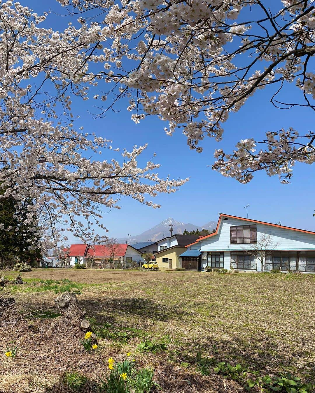 Rediscover Fukushimaさんのインスタグラム写真 - (Rediscover FukushimaInstagram)「Cherry blossoms in full bloom today at Kannonji-gawa River in Inawashiro Town! 🌸  You can watch today’s livestream from Kannonji-gawa on our Facebook page - we also shared some places where you can see sakura in the coming days in Fukushima! 🤩🙌  We’ll be doing another livestream from Inawashiro soon, so stay tuned! 👀   And thank you so much for your support! 💗  #visitfukushima #fukushima #fukushimaprefecture #inawashiro #beautifuljapan #beautiful #visitjapan #japantravel #japantrip #japantravelinspo #sakura #spring #japanspring #sakurajapan #sakuraseason #cherryblossomseason #kannonjigawa #kannonjigawasakura #japanreels #visittohoku #tohokutrip #jrpasstohoku #桜 #東北旅行 #福島観光 #観音寺川の桜」4月13日 13時26分 - rediscoverfukushima