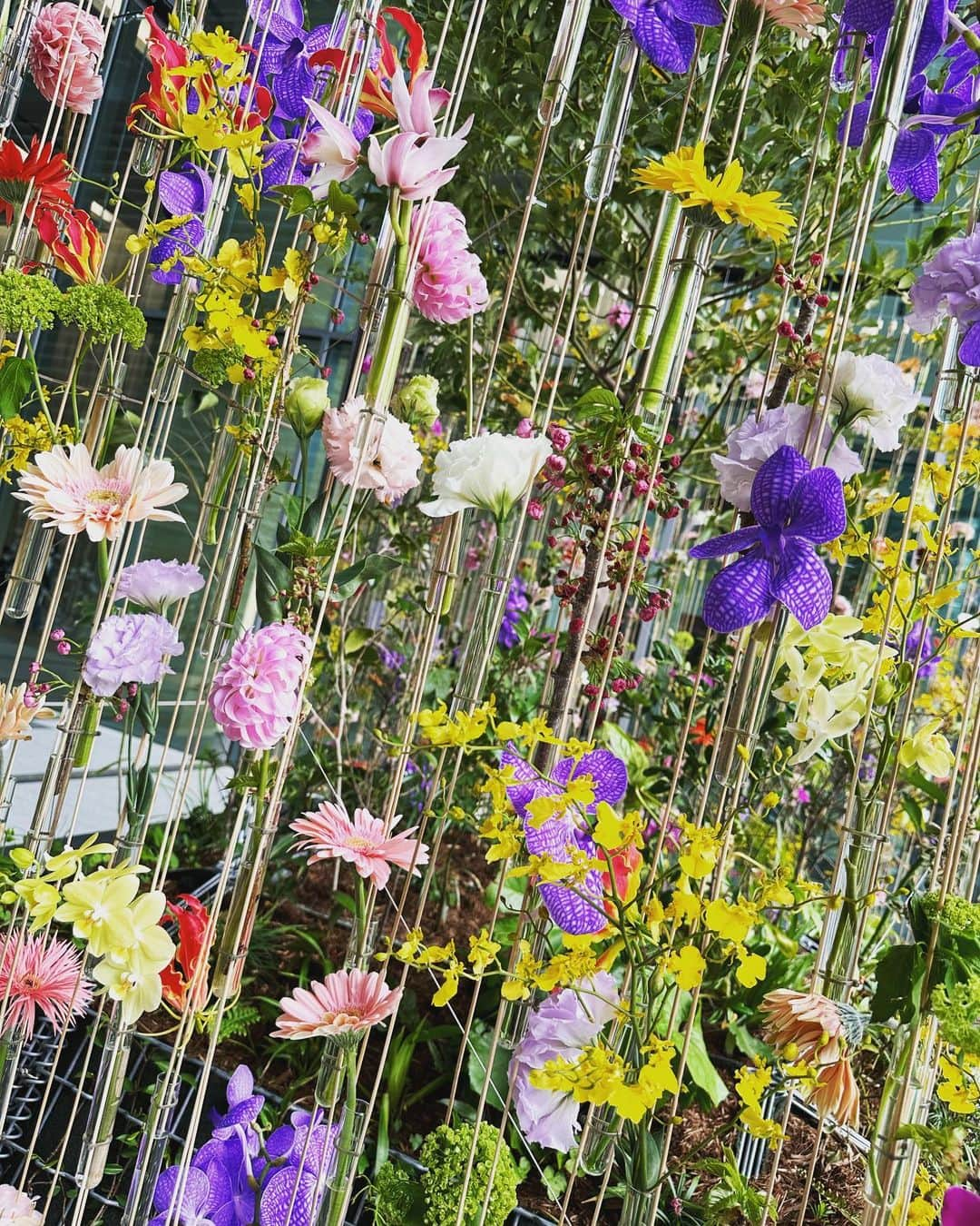 一ノ瀬みかさんのインスタグラム写真 - (一ノ瀬みかInstagram)「4月7日〜4月23日開催の「Yaesu Flower Greeting」に行ってきました🌸  1枚目の作品は東京ミッドタウン八重洲のロゴをモチーフに作られたものらしく、とても素敵でした。  他にも綺麗なお花たちが沢山あって、夜はライトアップされるそうです！  #東京ミッドタウン八重洲  #tokyomidtownyaesu  #yaesuflowergreeting  #東京　#八重洲　#東京駅八重洲口　#ミッドタウン八重洲　#八重洲ミッドタウン　#ミッドタウン #東京ミッドタウン　#東京駅周辺　#商業施設　#tokyo #yaesu #midtownyaesu #yaesumidtown #midtown #tokyomidtown」4月13日 13時28分 - mika__kmyd