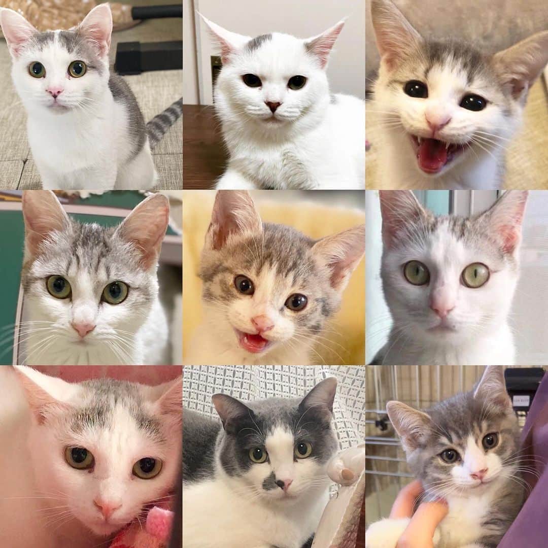 marimon0703__のインスタグラム