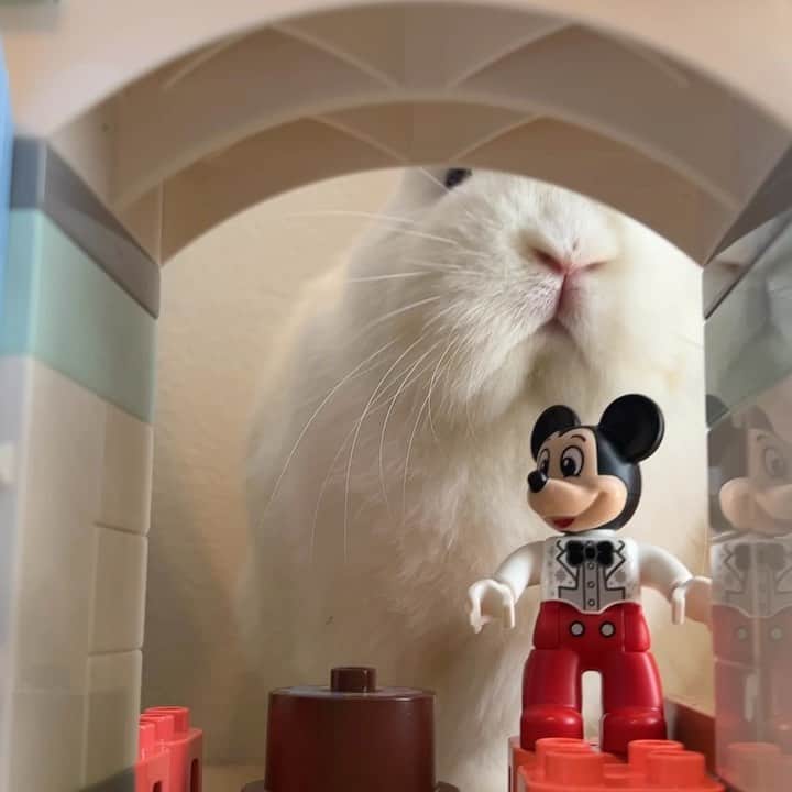 うー & なー ❤️ウチムラのインスタグラム：「* お城に、大きなうさぎ進出？！👏🏻✨✨」