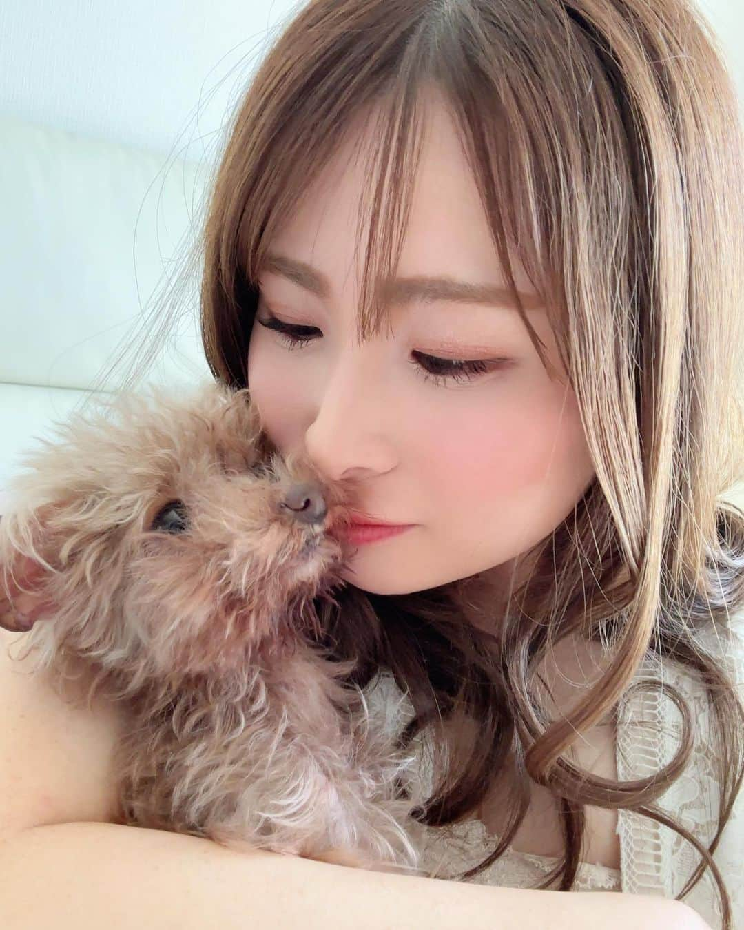 松浦三佳さんのインスタグラム写真 - (松浦三佳Instagram)「＊ ココ🐩🎀1年前の今頃はまだ走ってて自分でご飯もたべれてた🤔 6月のオペから思ったより回復はしてないけど、今も生きてくれててご飯もカリカリご飯食べれる💓 もうすぐ7歳に😊早いなあ🥺 出会った時は一目惚れでとっても小さかったココは今も1.1キロしかなくて小さいけど頑張って生きてる😭してあげられる事はなんだろうかってよく考えるけど、自分でお水やご飯をとりにいけないからなるべく一緒にいてあげること☘️今の仕事の仕方で自分も生きてられてよかった🤣毎日フルタイムで働きながらココを見るのは不可能だ🤔🤔🤔これからも出来るだけ長くママのそばにいてください🙏💓 ＊ ＊ ＊ ♡★♡ﾟ･*:.｡ ｡.:*･ﾟ♡★♡ﾟ･*:.｡ ｡.:*･ﾟ♡★♡ﾟ･*:.｡ ｡.:*･ﾟ♡ #トイプードル#トイプードルレッド#ティーカッププードル#トイプードル多頭飼い#プードル #水頭症わんこ#わんこ#愛犬#親バカ部#ふわもこ部#toypoodle#toypoodlered#toypoodlegram#mydog#mypet#poodle#mysweetbaby#lovedogs#토이푸들」4月13日 14時26分 - mikarinrin5555