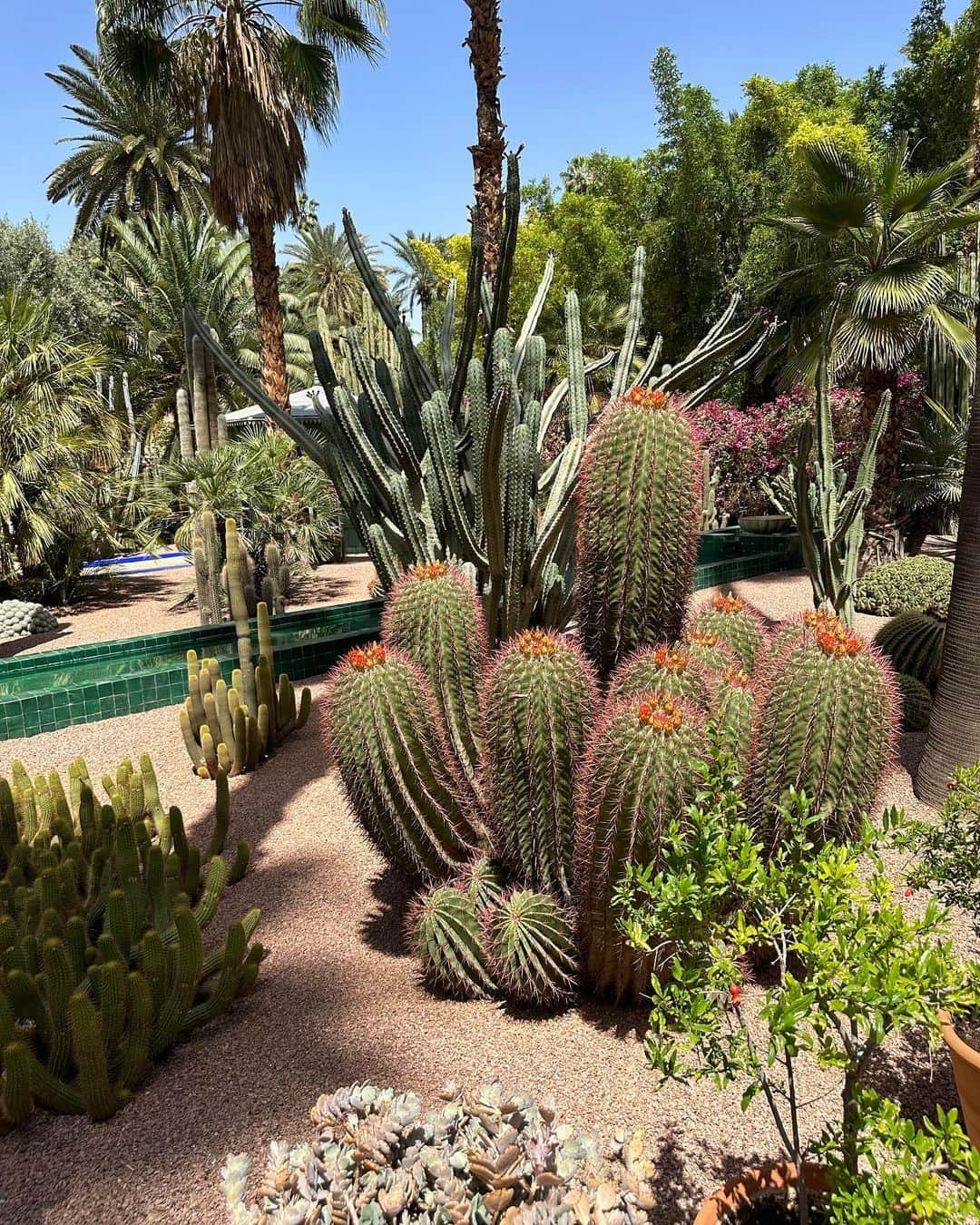 ファーン・マッキャンさんのインスタグラム写真 - (ファーン・マッキャンInstagram)「Jardin Majorelle - Yves Saint Laurent Mansion 💙. _____________________________________ The gardens onto lunch at @elfennmarrakech .  Definitely need to pre book your tickets before you go. I’m not really a museum kinda girl so we booked just to go to the gardens and they were breathtakingly beautiful.   Had to buy a little pot of the blue paint too to bring home.  Sundays dress is Zara. My outfit is all old stretchy pieces I have in my holiday suitcase in my loft. I’ve had a check list with my holiday wardrobe - •is it stretchy ? ✅ •can I get away without wearing a bra ? ✅ 🤣🤣  #jardinmajorelle #yvessaintlaurent #ysl #marrakech #elfenn #rooftop #morocco」4月13日 14時48分 - fernemccann