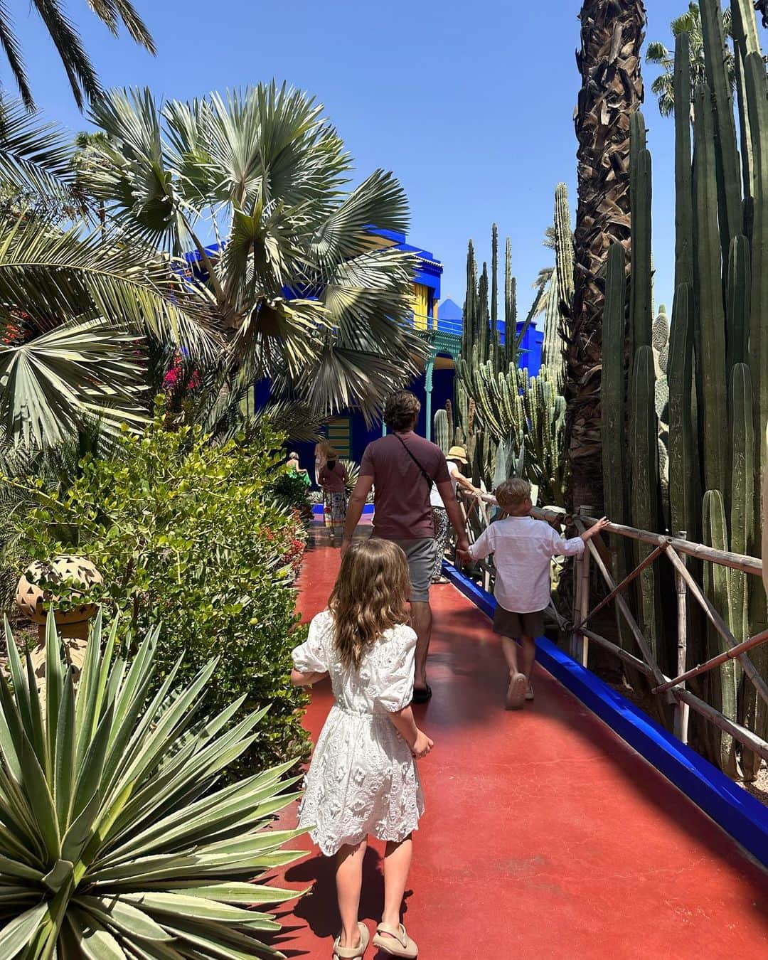 ファーン・マッキャンさんのインスタグラム写真 - (ファーン・マッキャンInstagram)「Jardin Majorelle - Yves Saint Laurent Mansion 💙. _____________________________________ The gardens onto lunch at @elfennmarrakech .  Definitely need to pre book your tickets before you go. I’m not really a museum kinda girl so we booked just to go to the gardens and they were breathtakingly beautiful.   Had to buy a little pot of the blue paint too to bring home.  Sundays dress is Zara. My outfit is all old stretchy pieces I have in my holiday suitcase in my loft. I’ve had a check list with my holiday wardrobe - •is it stretchy ? ✅ •can I get away without wearing a bra ? ✅ 🤣🤣  #jardinmajorelle #yvessaintlaurent #ysl #marrakech #elfenn #rooftop #morocco」4月13日 14時48分 - fernemccann