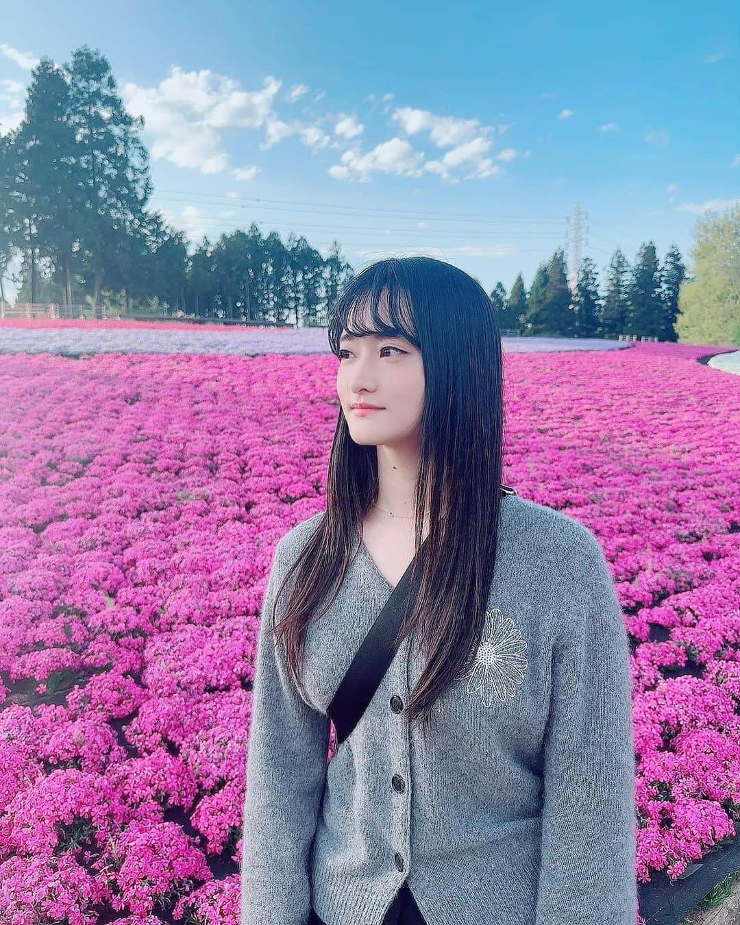 堀場美希さんのインスタグラム写真 - (堀場美希Instagram)「いつもの旅友達おねえさんとおでかけしてきました☺️🚗🌷 自然に触れてとても良い時間だったよ〜！ 次はどこ行こうかな〜？✨ 北海道、沖縄、関西、四国、九州🤔💭 みんなのおすすめ教えて〜❣️  あ!そういえば😗の顔しなかったかも？！🤣  #シバザクラ #芝桜 #お出かけ #🚗 #🌷」4月13日 14時55分 - miki_horiba212