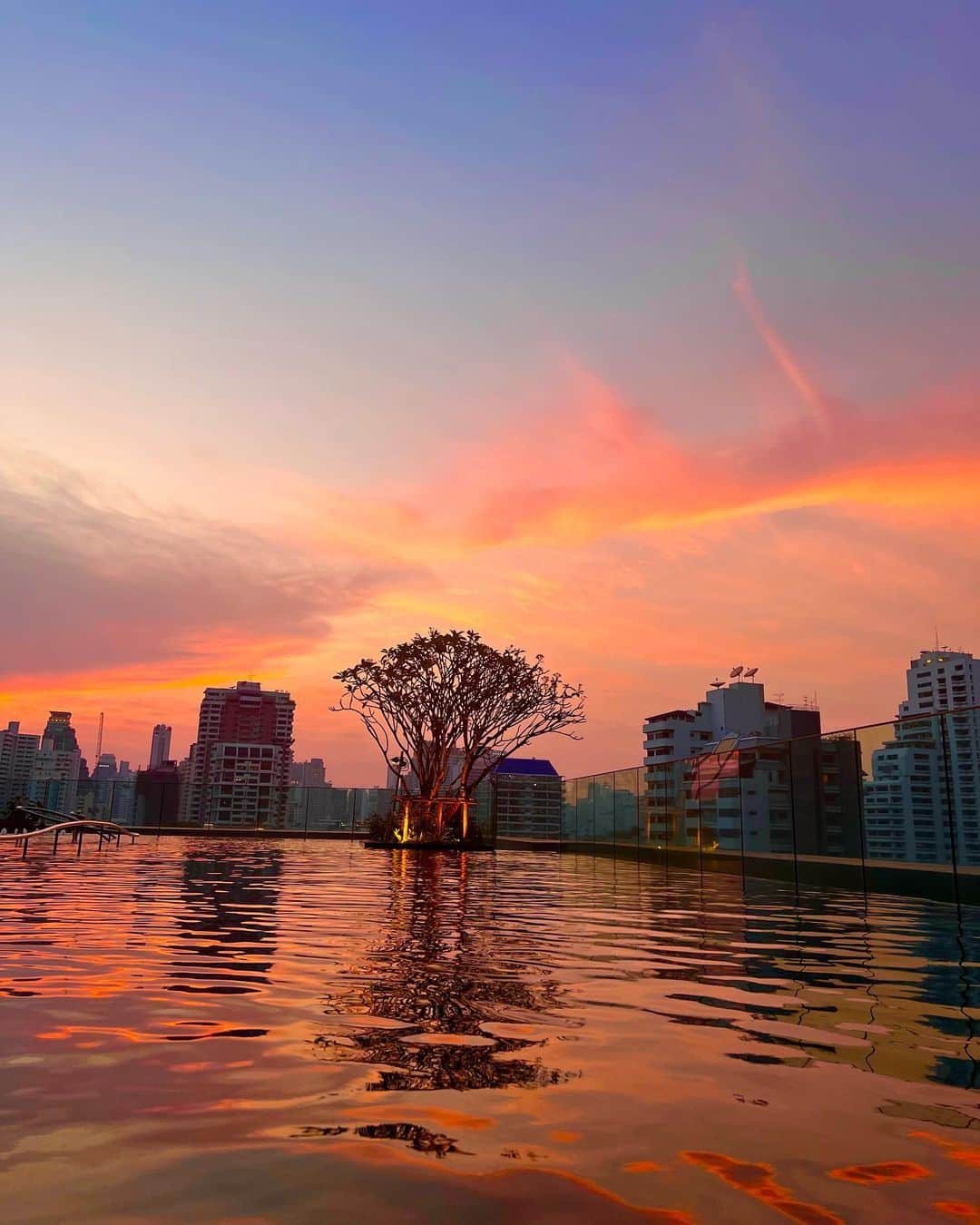 ホヤのインスタグラム：「Thailand💜」