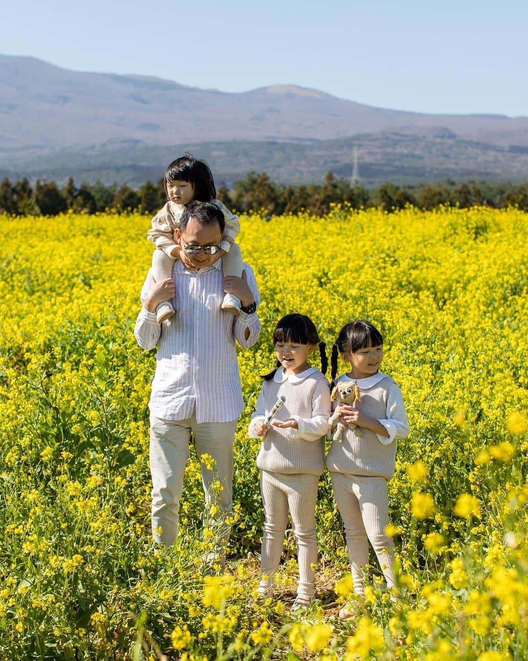 MOMOツインズのインスタグラム：「Canola flowers in full bloom 🌼 #spring #lllgoestojeju」