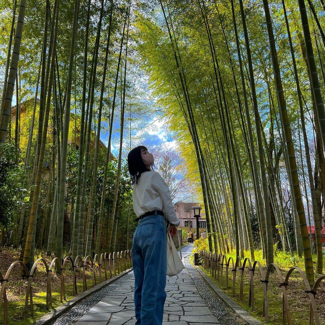 小室ゆらさんのインスタグラム写真 - (小室ゆらInstagram)「竹林🎋𓈒𓏸 ⁡ ⁡ マイナスイオンたっぷりで癒された〜！！！ ⁡ ⁡ .」3月20日 23時11分 - komuro_yura_official
