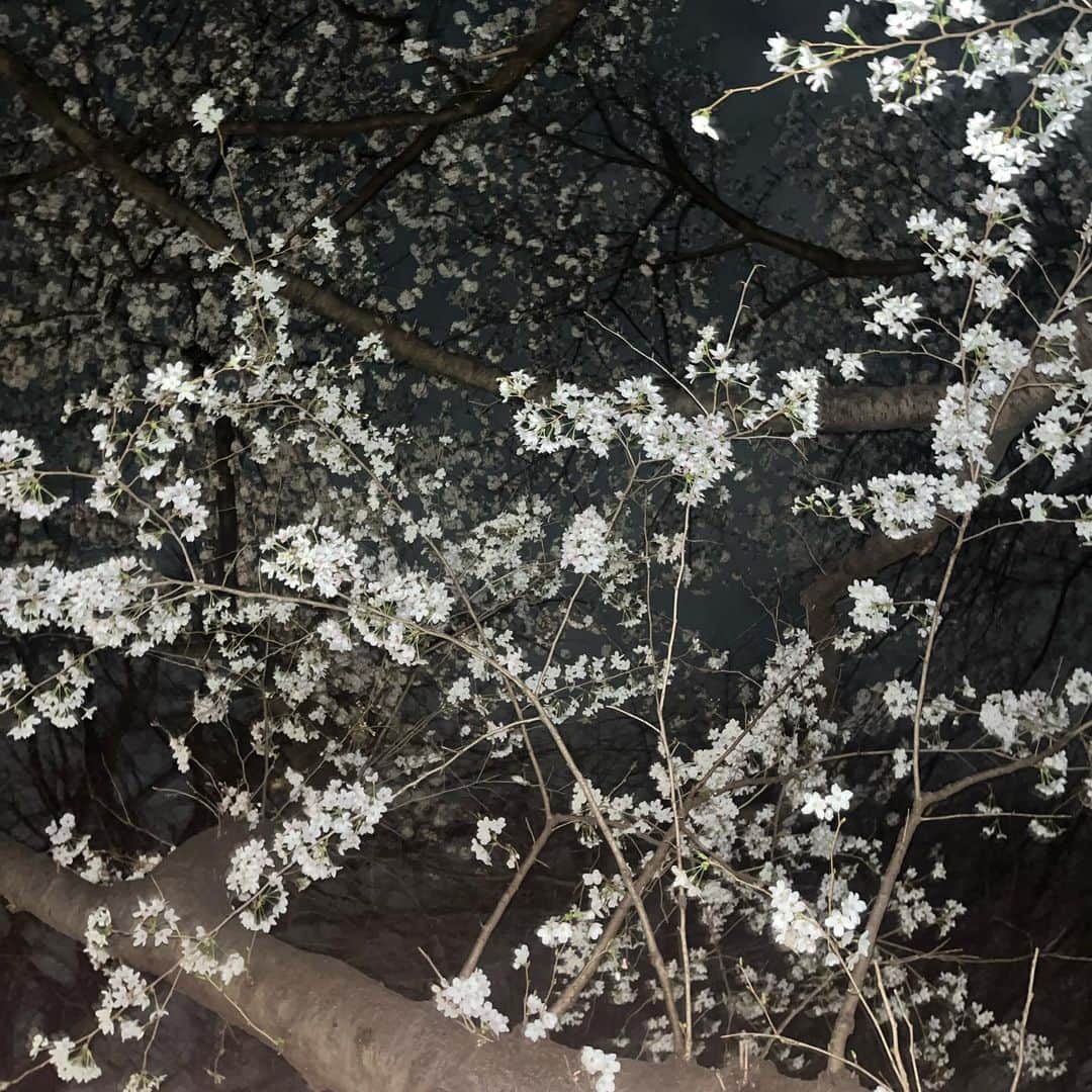 八瀬尾蘭さんのインスタグラム写真 - (八瀬尾蘭Instagram)「通りかがりのおじさまが、このカード渡してきましたなんだったのでしょうか」3月20日 23時05分 - yaseo.ran