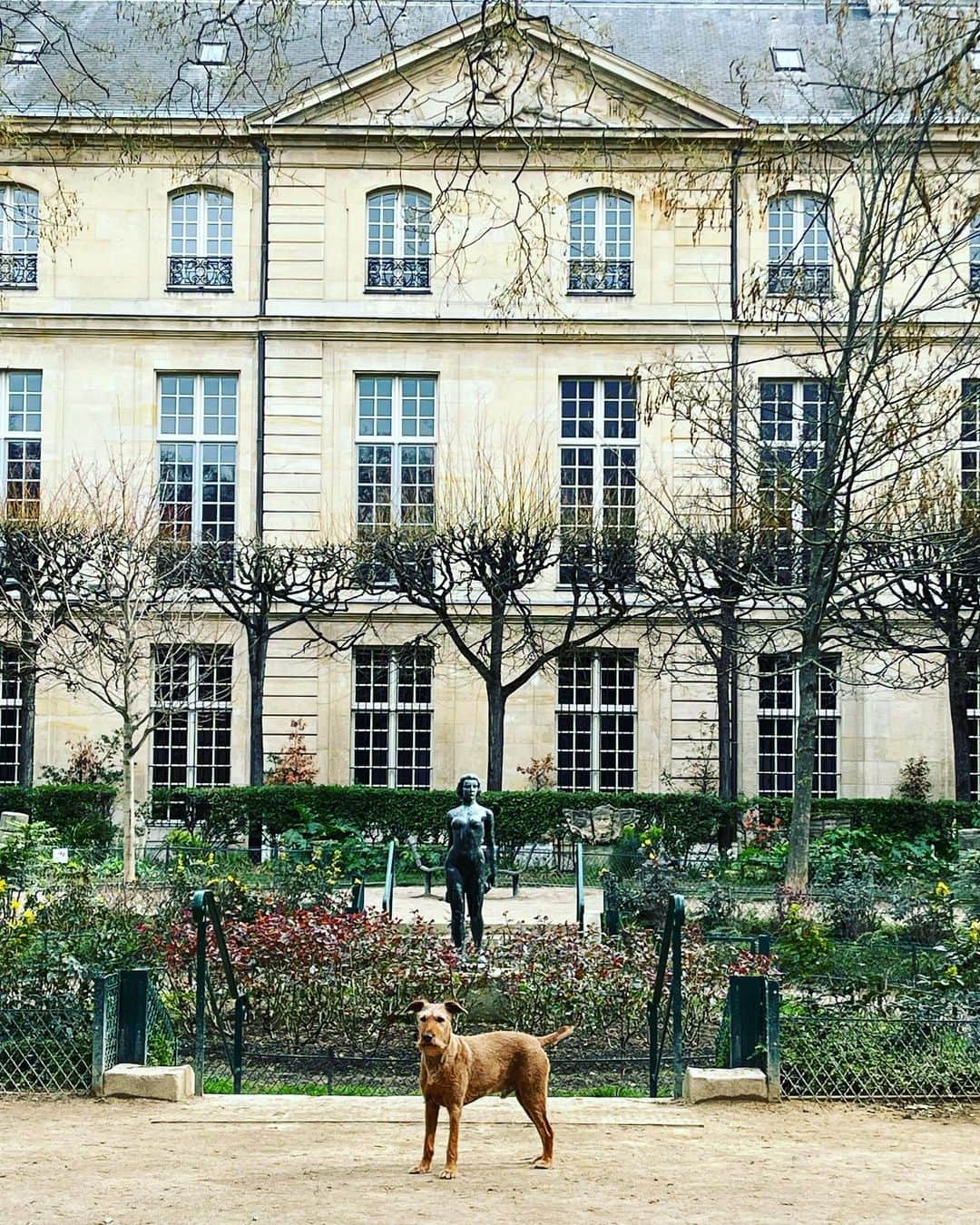 デレク ラムのインスタグラム：「Dog parks in Paris, FR. Just a little bit extra. Monsieur Roscoe strikes a pose.」