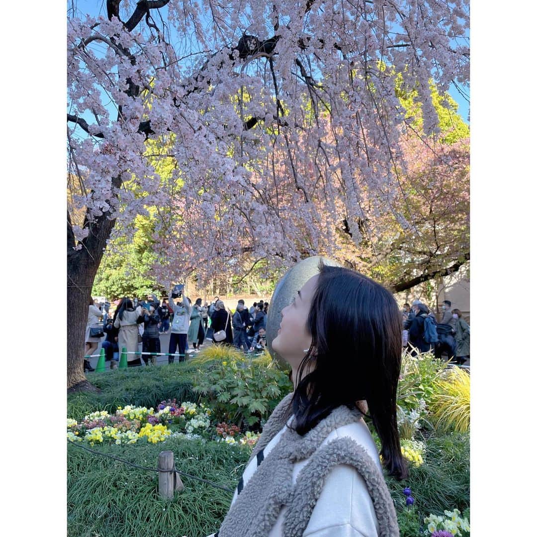 納富有沙さんのインスタグラム写真 - (納富有沙Instagram)「.  上野公園へ桜を見に行きました🌸 まだ満開ではなかったけど、綺麗に咲いている桜もちらほら☺️ 春の陽気でとっても気持ちよかったです🤍 .」3月20日 23時38分 - arisa_noutomi