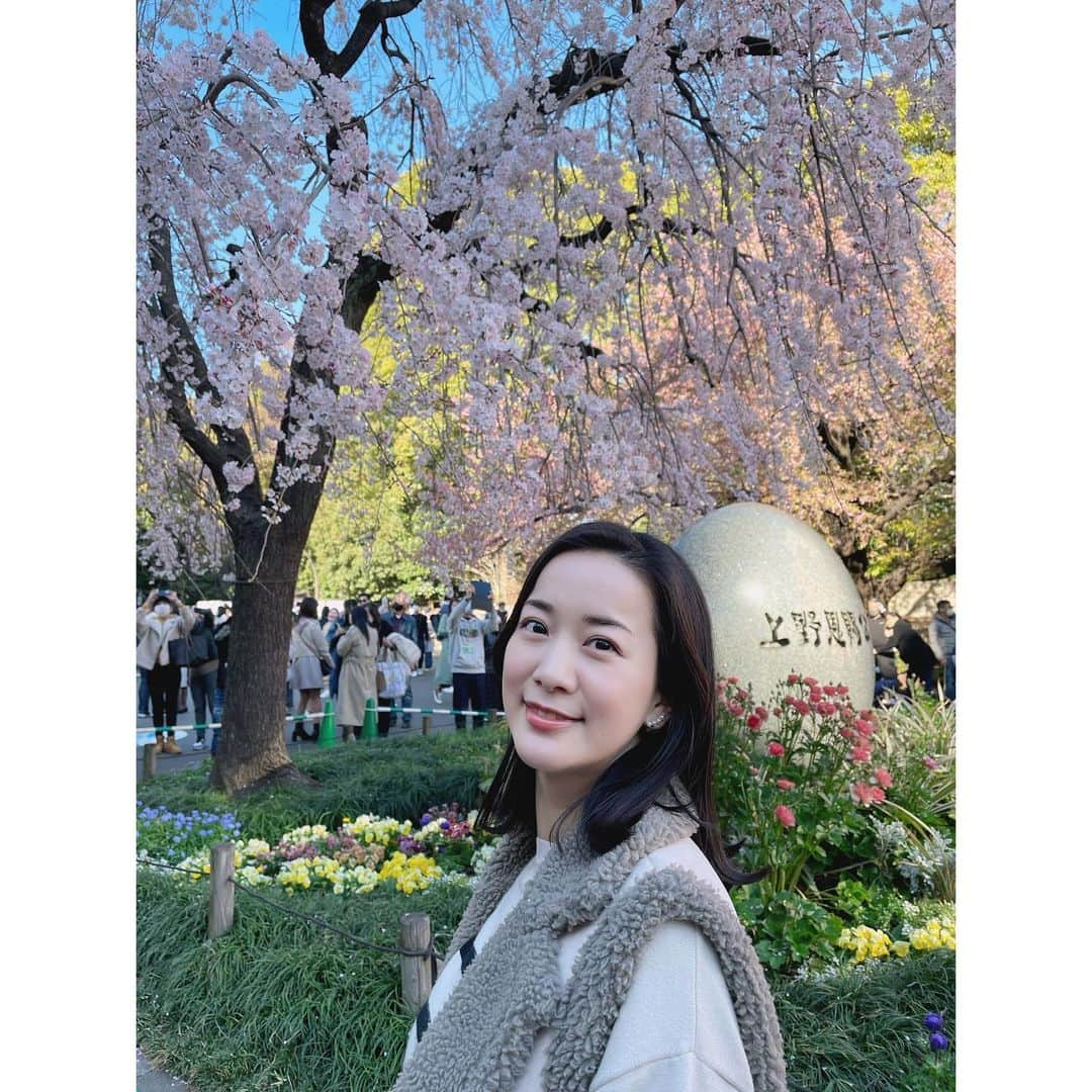 納富有沙のインスタグラム：「.  上野公園へ桜を見に行きました🌸 まだ満開ではなかったけど、綺麗に咲いている桜もちらほら☺️ 春の陽気でとっても気持ちよかったです🤍 .」