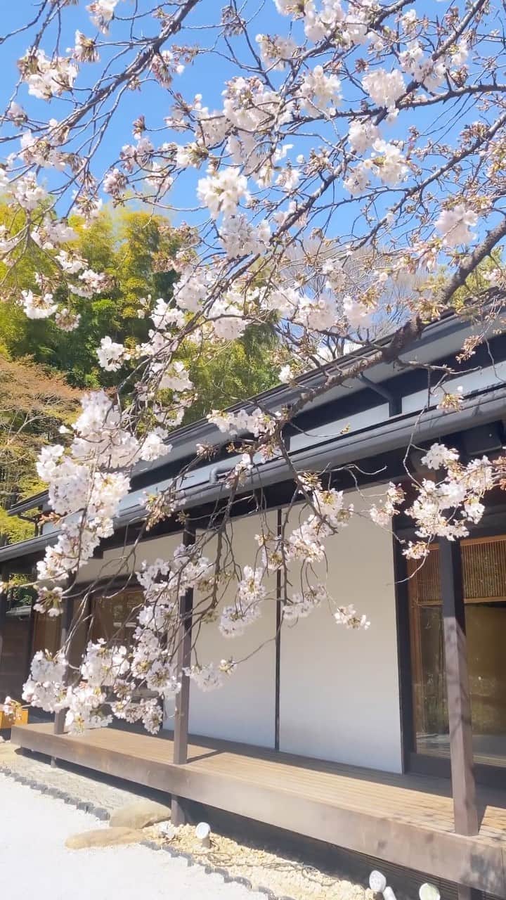 八芳園のインスタグラム