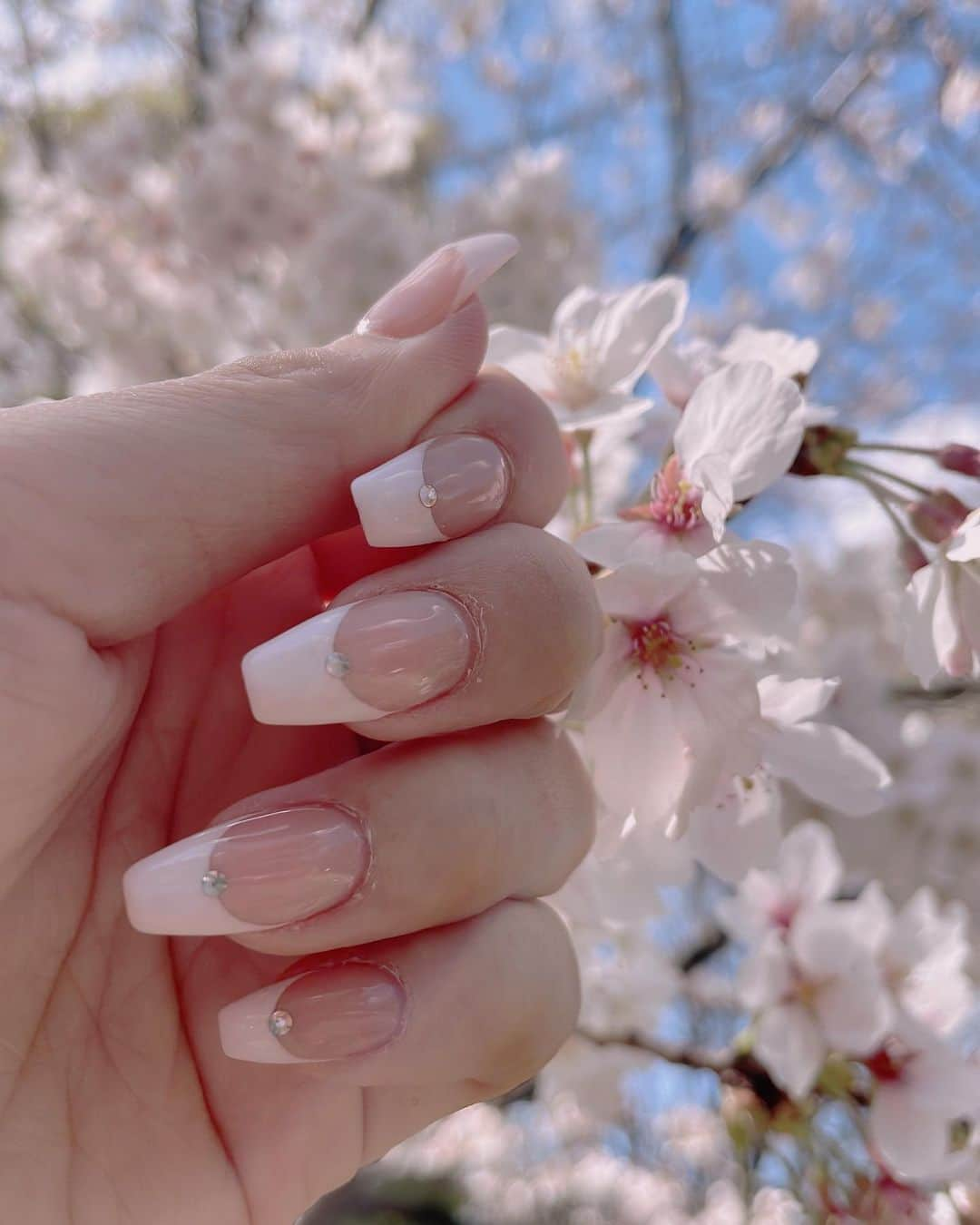 木下優樹菜さんのインスタグラム写真 - (木下優樹菜Instagram)「cherry blossom🌸Frenchnail  @ellenail_shibuya  @esnail_japan」3月20日 15時16分 - yukina1204xoxo