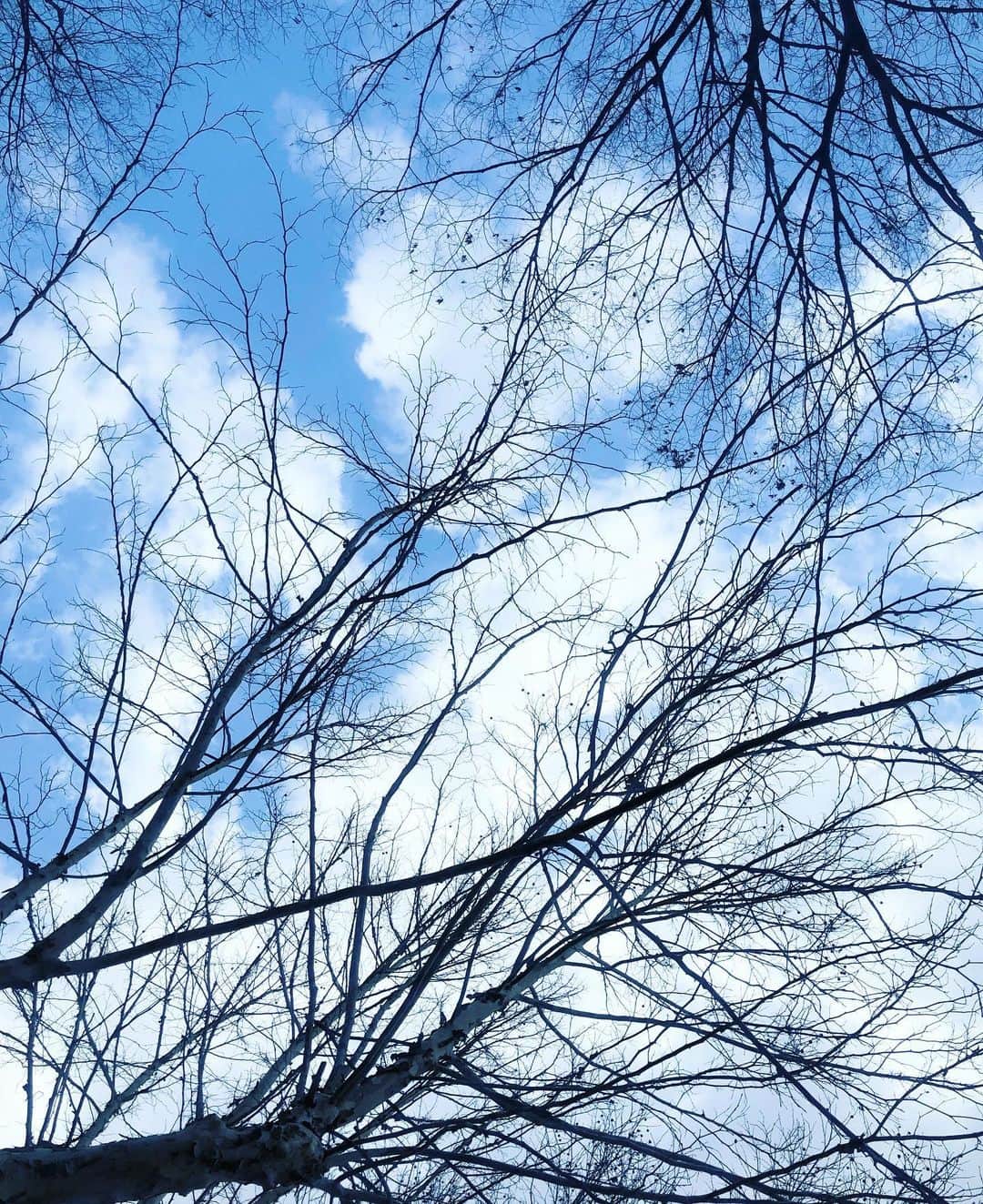 クォン・シヒョンさんのインスタグラム写真 - (クォン・シヒョンInstagram)「낮이 좋아지는 요즘 날씨」3月20日 15時53分 - rnjs28
