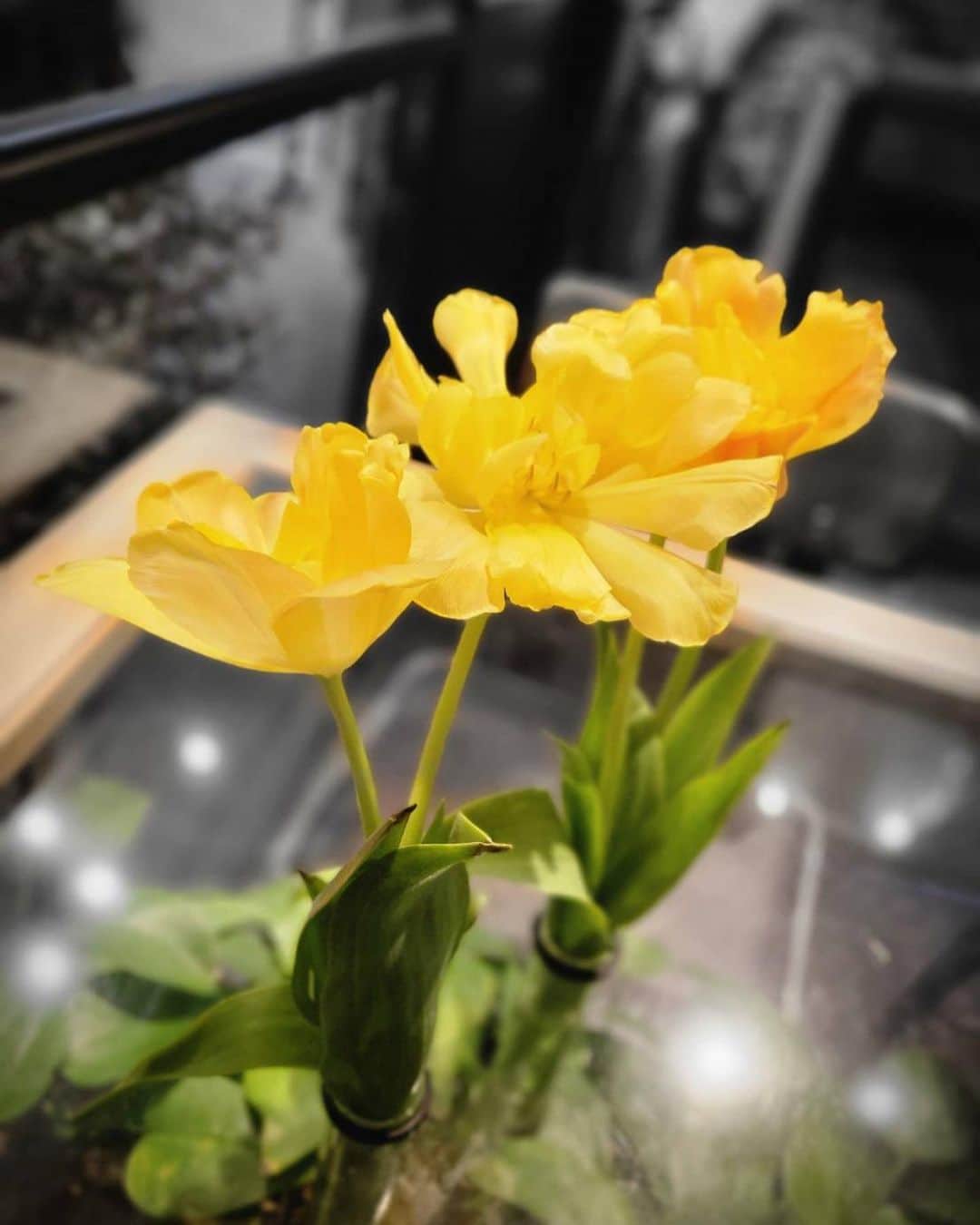 井上ほの花さんのインスタグラム写真 - (井上ほの花Instagram)「🌟🧸  #ほの花とお花のツーショット #頑張りたい」3月20日 16時22分 - milky_milky0209