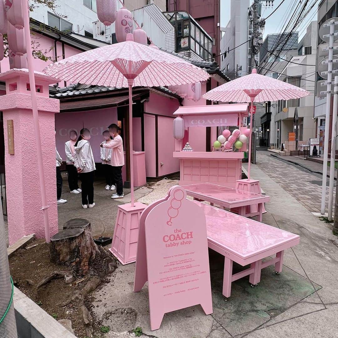 外村美姫さんのインスタグラム写真 - (外村美姫Instagram)「コーチ（COACH）ポップアップイベントへ!! 「the COACH tabby shop（コーチ タビー ショップ）」 原宿でお花見が出来るよ～!!インスタ投稿でお団子のプレゼントも。  ワンコはバッグインで同行する事が出来、カフェマットで外では撮影も可能だそうです。春のおでかけに。ピンクの世界を満喫!!  #コーチ #COACH #theCOACHtabbyshop #コーチタビーショップ #Tabby #タビー #コーチタビー #InMyTabby #CoachJapan #Popupshops #お花見 #原宿 #harajyuku #外村美姫 #チワックスティファニー #ポップアップショップ #犬との生活 #犬のいる生活 #わんこのいる暮らし #親子コーデ #サルヴァトーレで春気分   #桜 #お団子 #さくら #サクラ #春 #spring #sakura #pink #ピンク」3月20日 16時40分 - mikitonomura