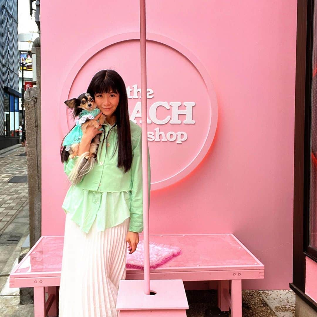 外村美姫さんのインスタグラム写真 - (外村美姫Instagram)「コーチ（COACH）ポップアップイベントへ!! 「the COACH tabby shop（コーチ タビー ショップ）」 原宿でお花見が出来るよ～!!インスタ投稿でお団子のプレゼントも。  ワンコはバッグインで同行する事が出来、カフェマットで外では撮影も可能だそうです。春のおでかけに。ピンクの世界を満喫!!  #コーチ #COACH #theCOACHtabbyshop #コーチタビーショップ #Tabby #タビー #コーチタビー #InMyTabby #CoachJapan #Popupshops #お花見 #原宿 #harajyuku #外村美姫 #チワックスティファニー #ポップアップショップ #犬との生活 #犬のいる生活 #わんこのいる暮らし #親子コーデ #サルヴァトーレで春気分   #桜 #お団子 #さくら #サクラ #春 #spring #sakura #pink #ピンク」3月20日 16時40分 - mikitonomura