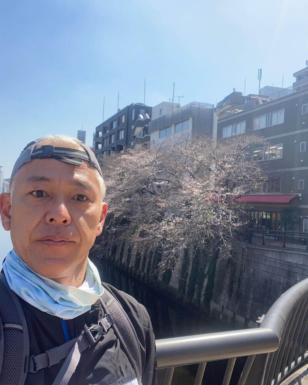 田村亮のインスタグラム：「目黒川ランニング  ソメイヨシノ3分咲き  名前を知らない桜満開。  凄い高そうなカメラでその桜を撮っていたおじいさんに「何て種類のサクラなんですか？」と聞いたら、「知らないです」との返答。 良いカメラで撮っているからって、知っていると思ったら大間違いです。」