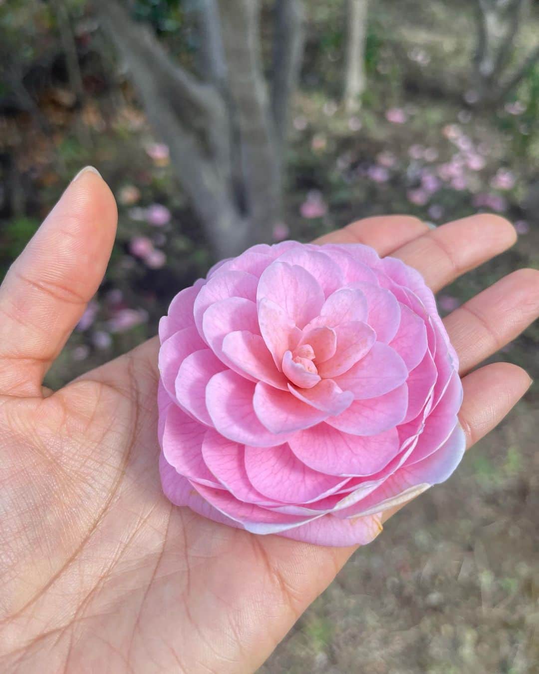 ティファニー・キャデラックのインスタグラム：「Blessed Spring Equinox aka Real New Year🌸 When the night and day kiss and caress with balance⚖️ Here we greet more life, love, joy, creativity, abundance and renewal🪄 This special day and season invites new water, air, light and soil💫 Sow your seeds for foods, flowers and ideas to celebrate new beginnings🌱 Sun enters Aries, so protect your head, eyes and blood 👑 👁️🩸 Find your way to the light and bloom like a flower🌼✨」